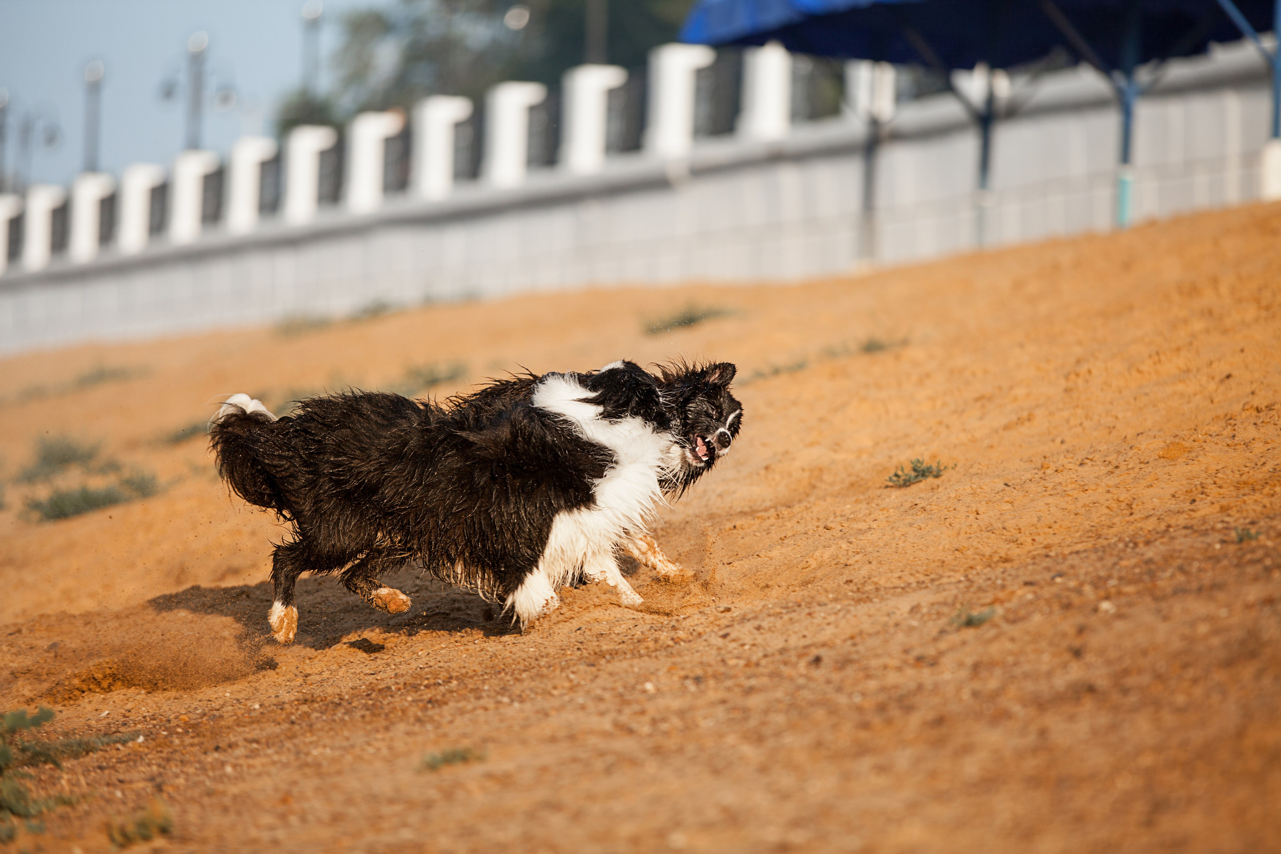 Сочный рассвет, на который решились. О нас