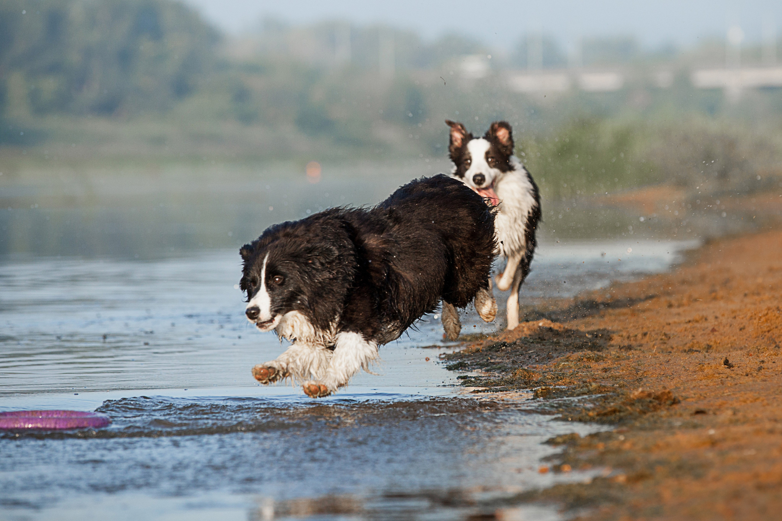 Сочный рассвет, на который решились. О нас