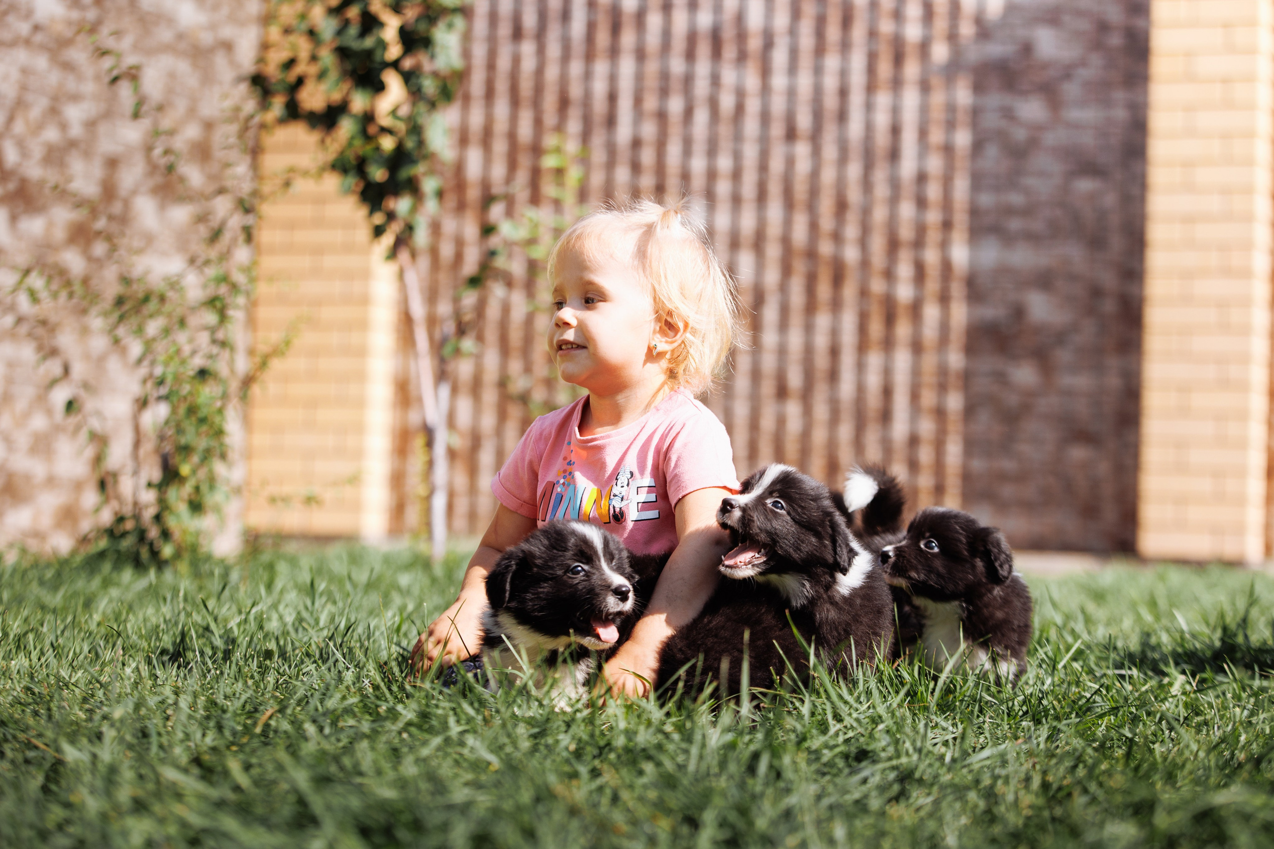 МММ — маленькое мягкое милое. О нас