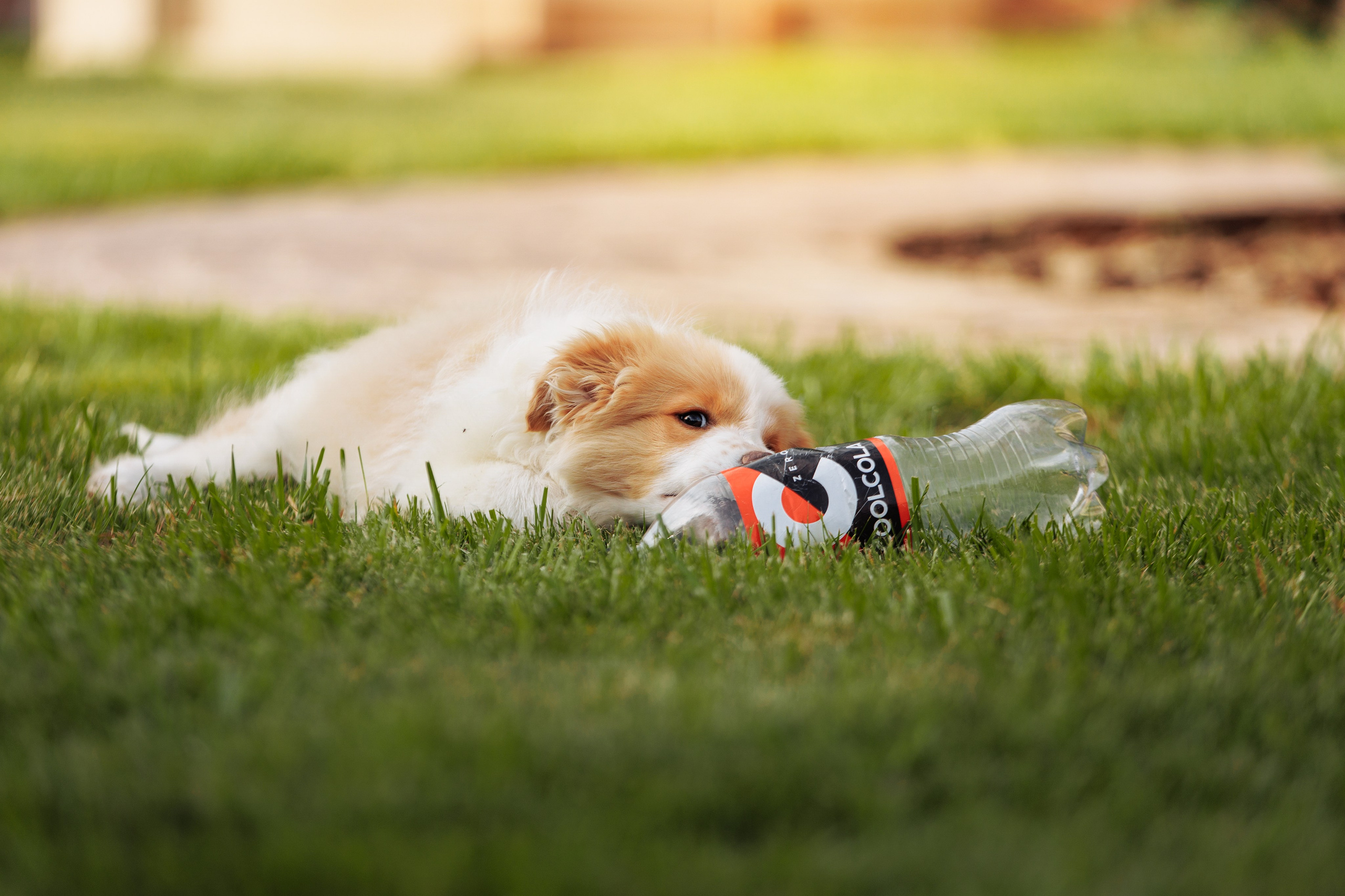 СОлнечные. О нас