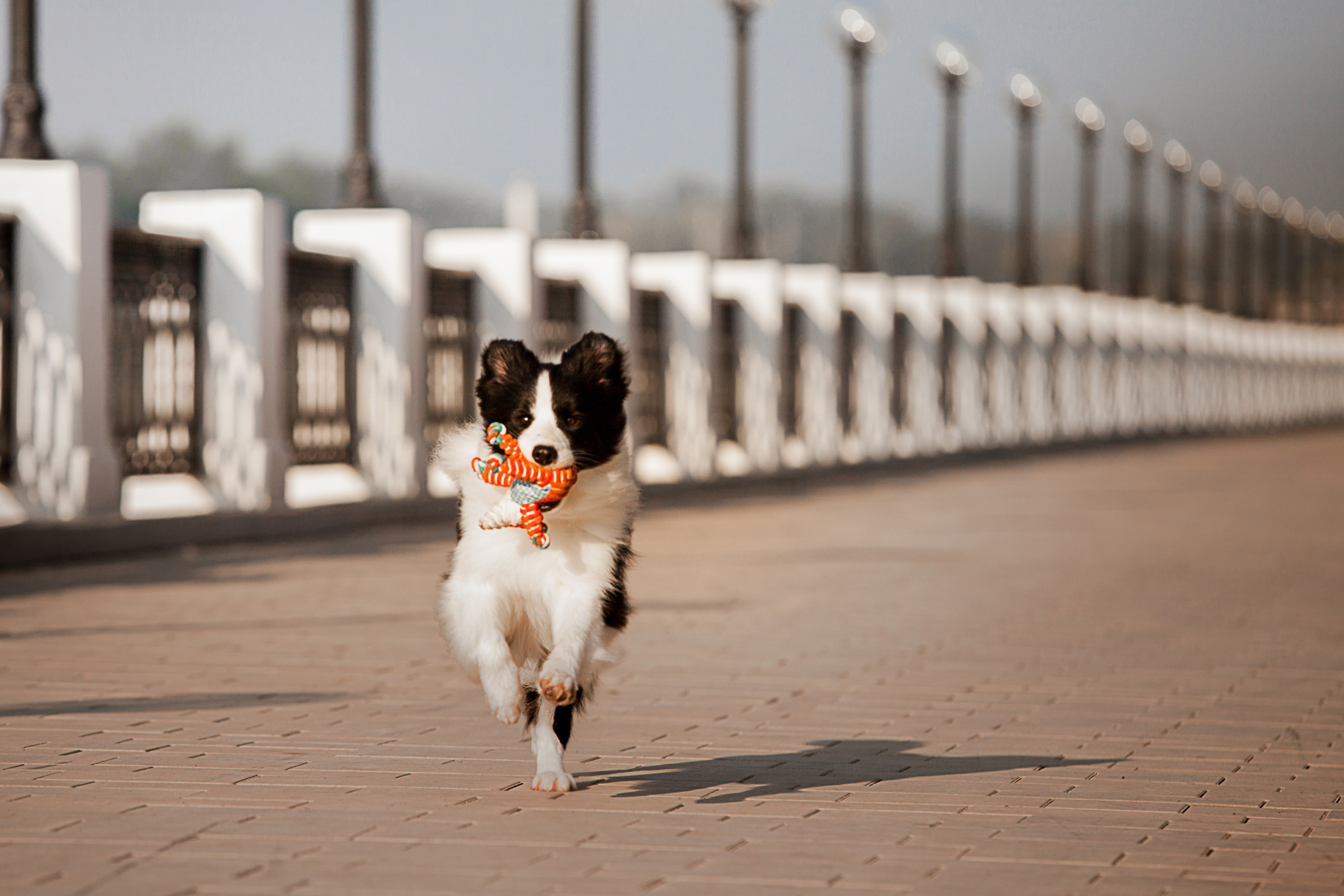 Сочный рассвет, на который решились. О нас