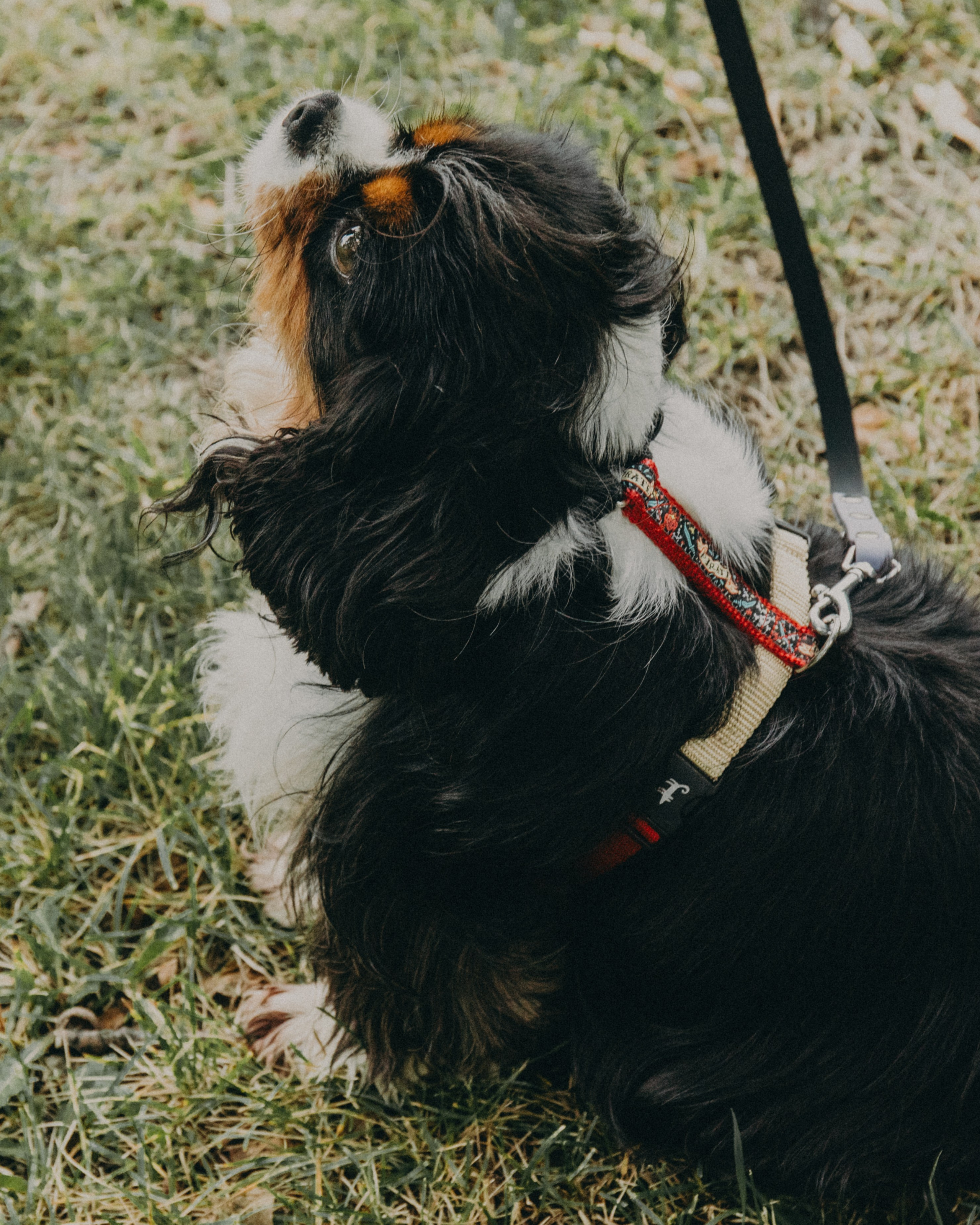Гилдин. Портретный фотограф Ванинен Анастасия. Санкт-Петербург