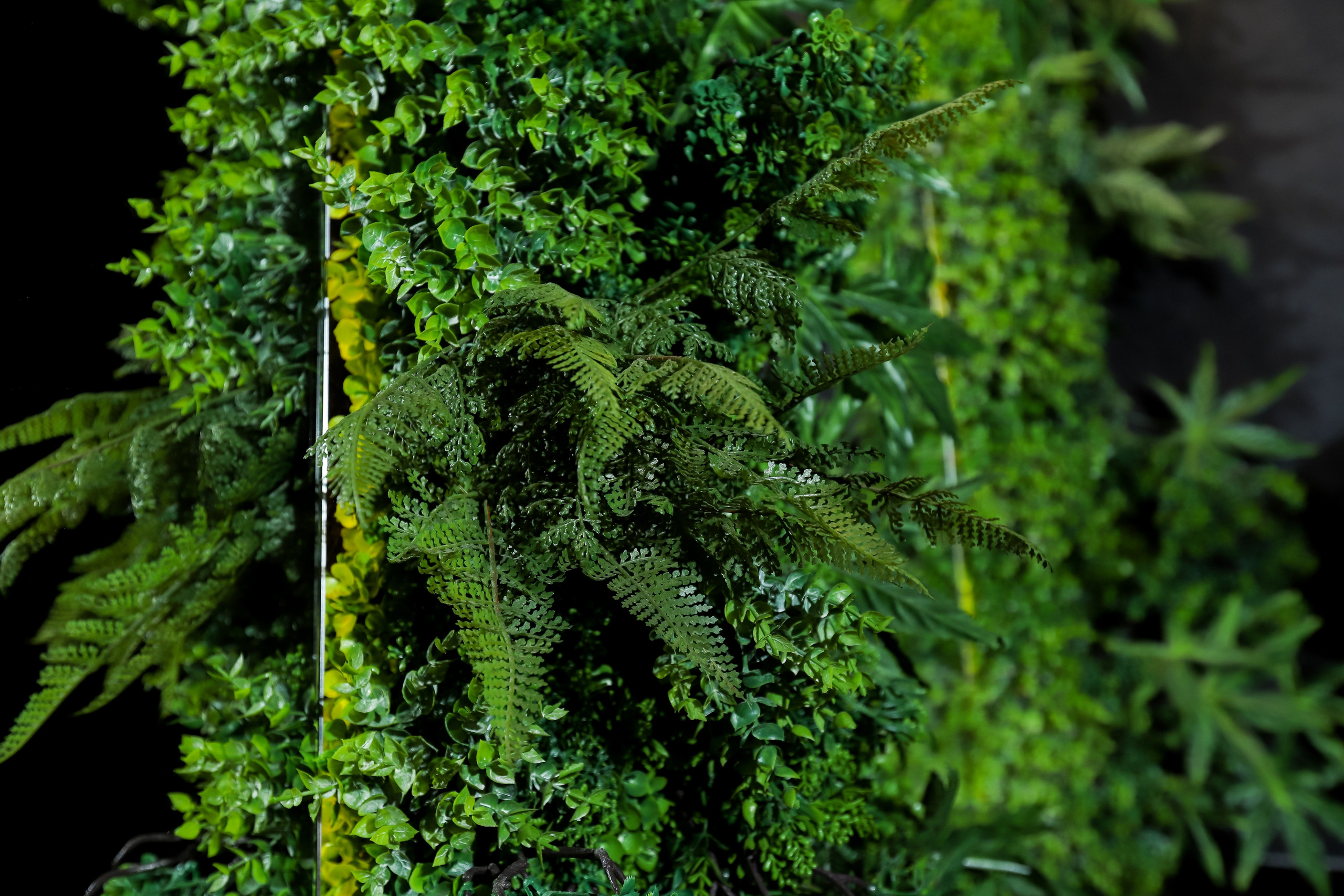 Tony Montana. Фотограф в Краснодаре Анна Светикова