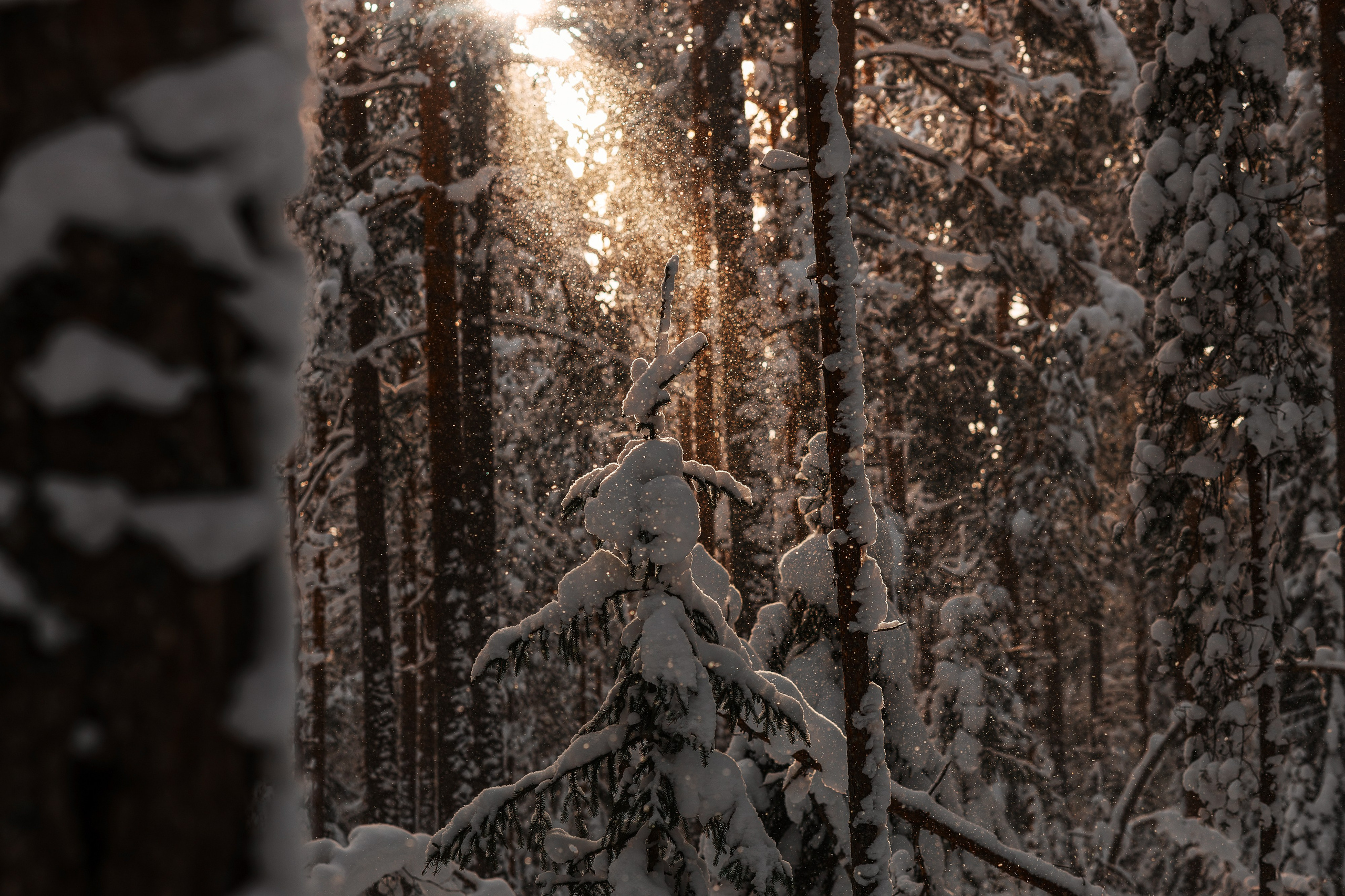 Churza | Фотограф в Санкт-Петербурге | Портретная, репортажная, рекламная съемка