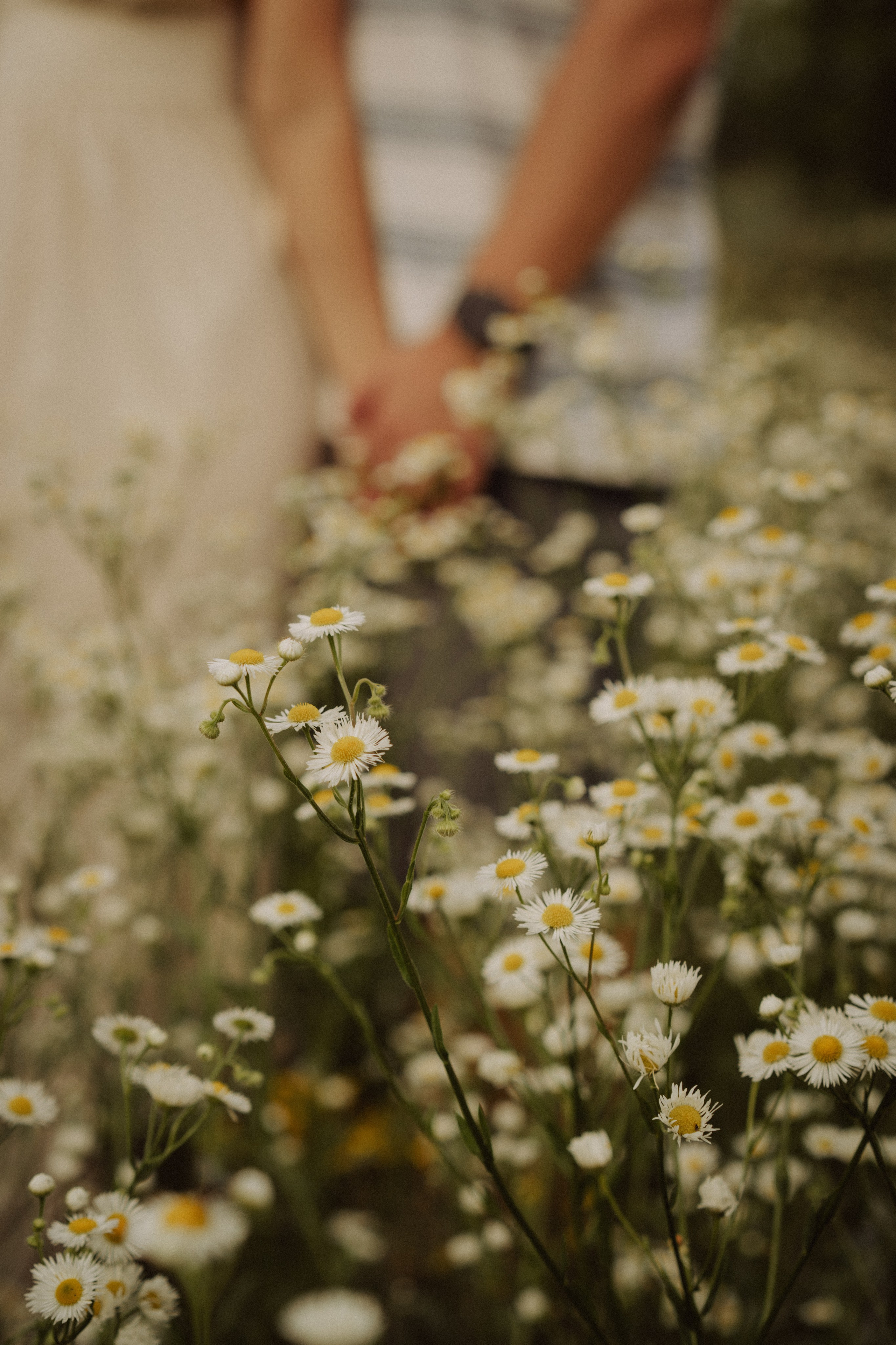 Полевая фотоистория. Лиза Фирстова — самый добрый фотограф