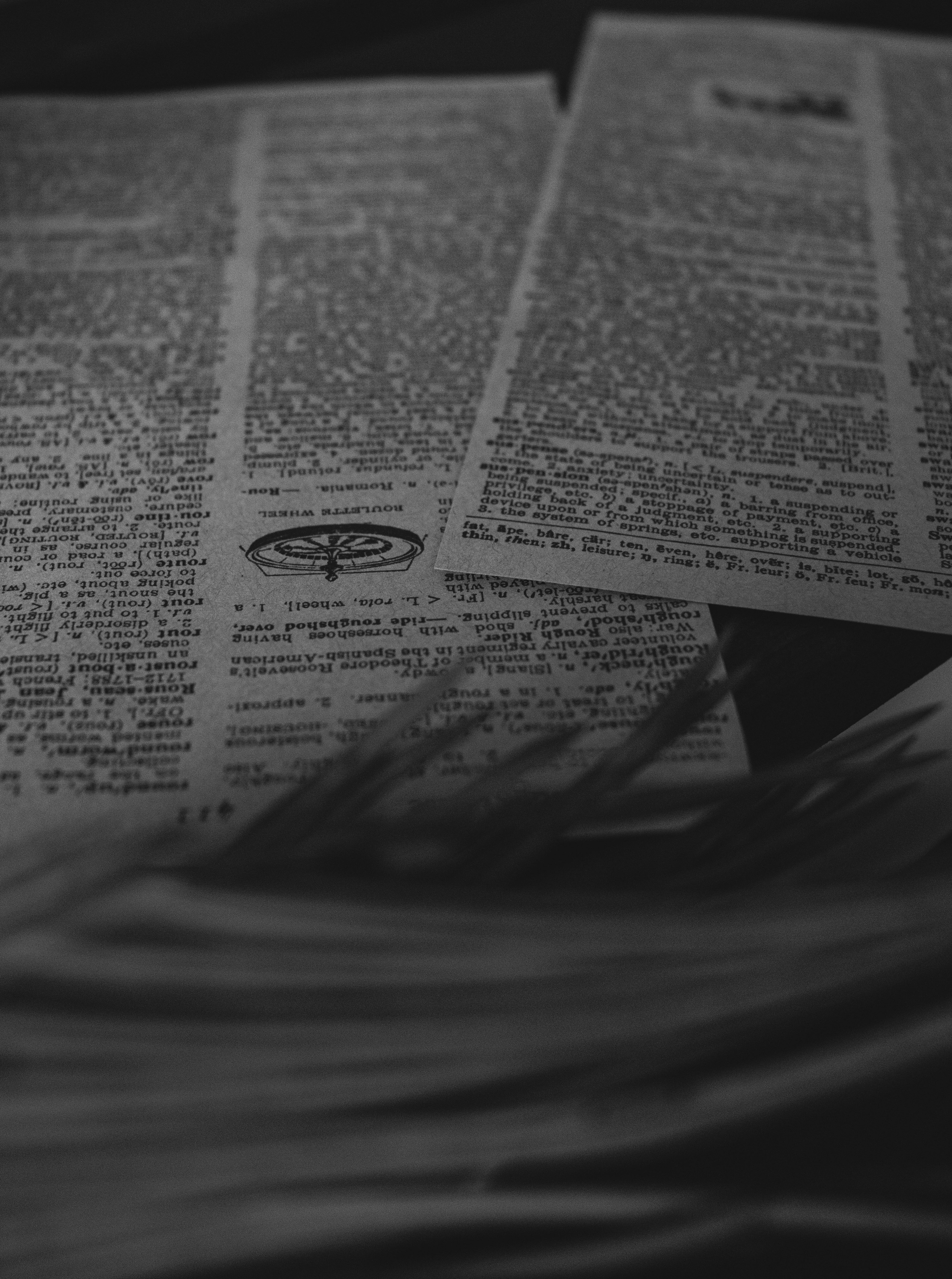 Эля. ФОТОГРАФ ~ Виктория Ивченко ~ Старый Оскол