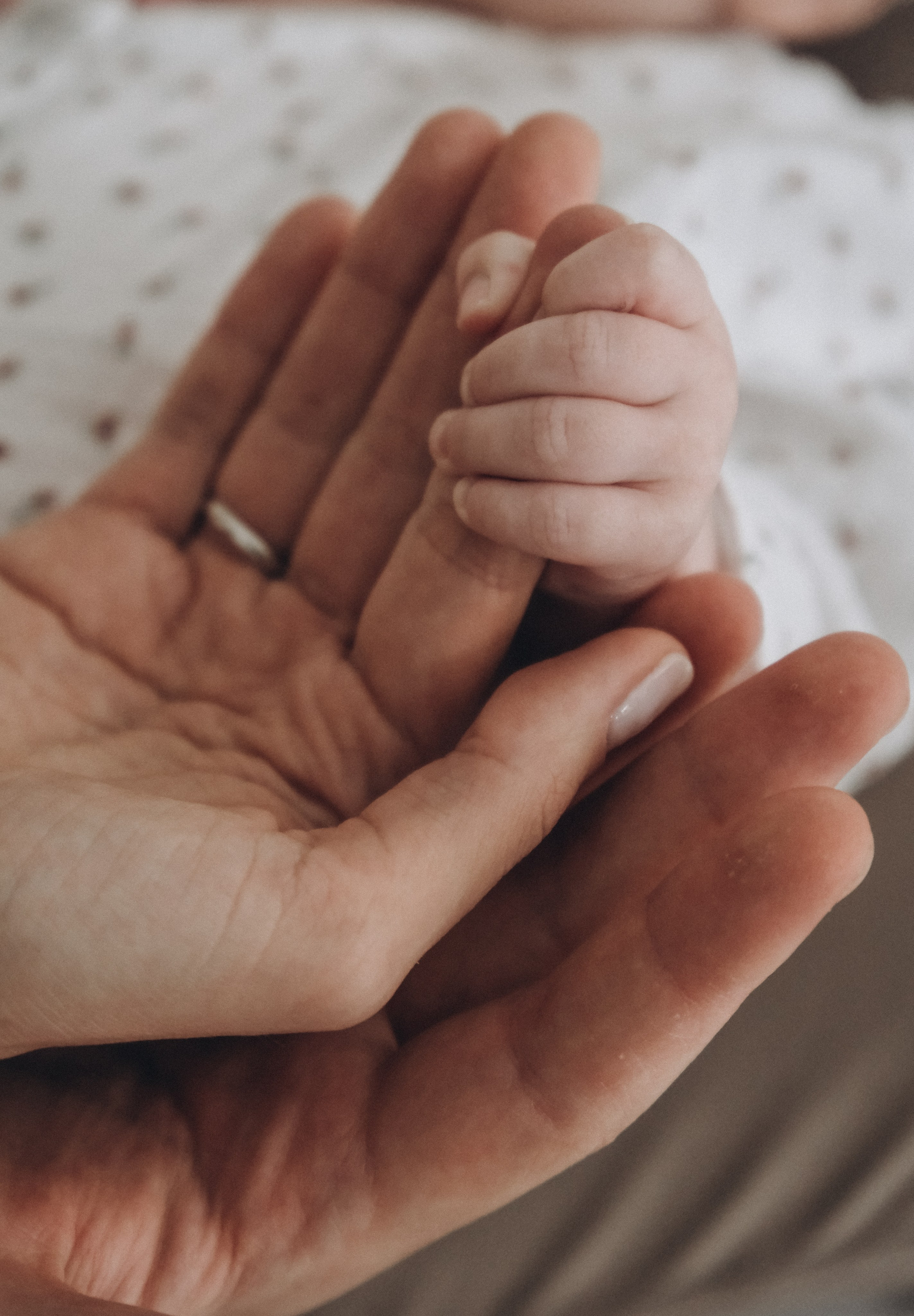 Семейная фотосессия, фотосессия в Москве. Ньюборн и детский фотограф в Москве Шигина Марина