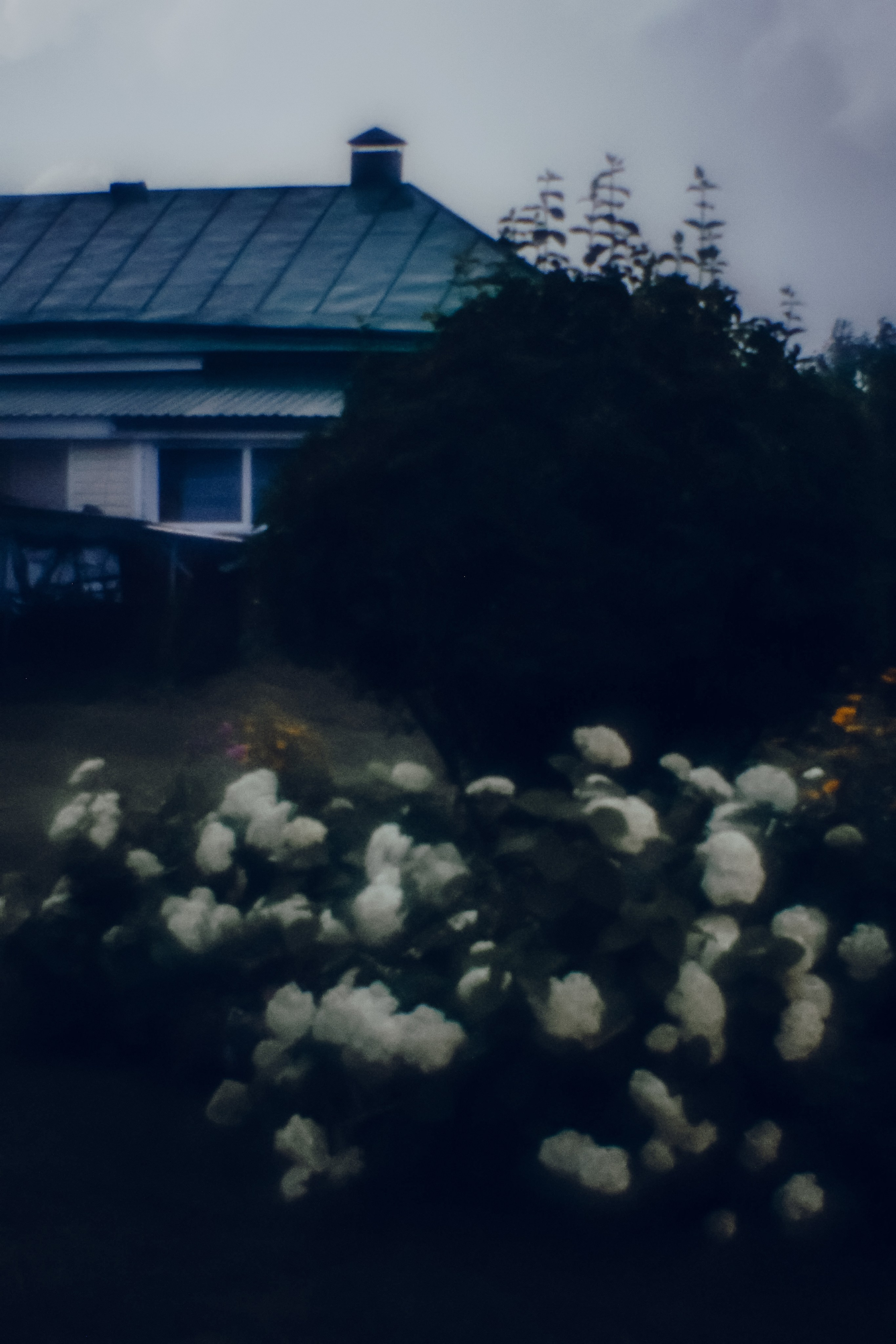 Пикториальный альбом. Семейный LIFESTYLE фотограф в Москве