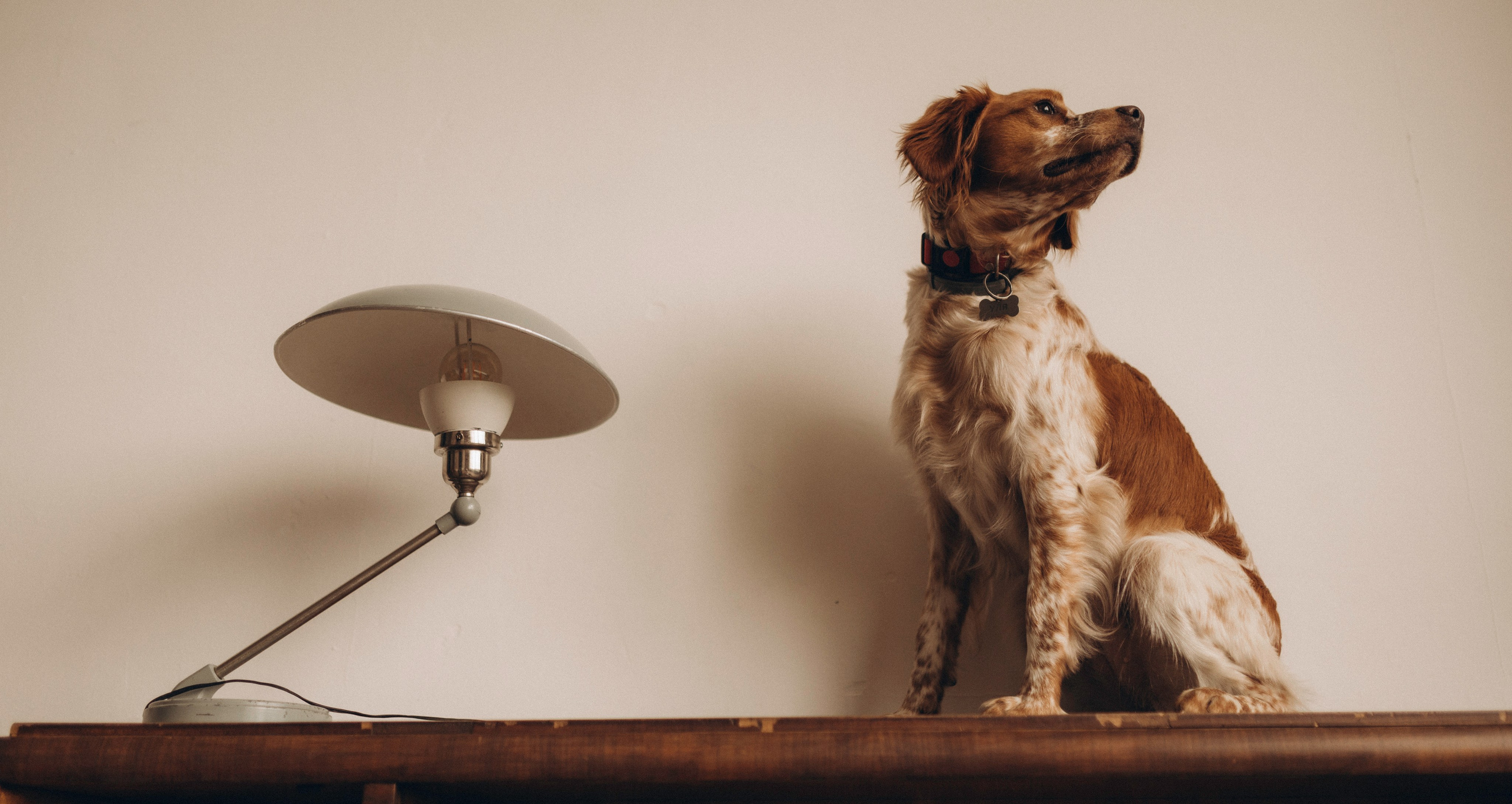 Настя и Уля. Татьяна Афонина | Фотограф