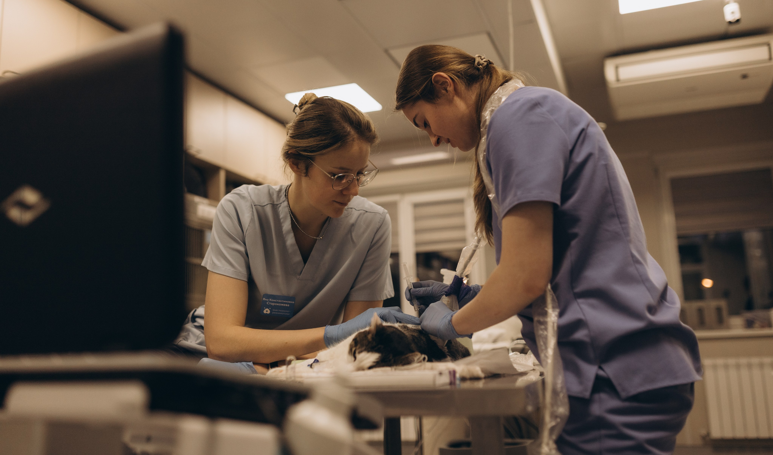 VetLife. Татьяна Афонина | Фотограф
