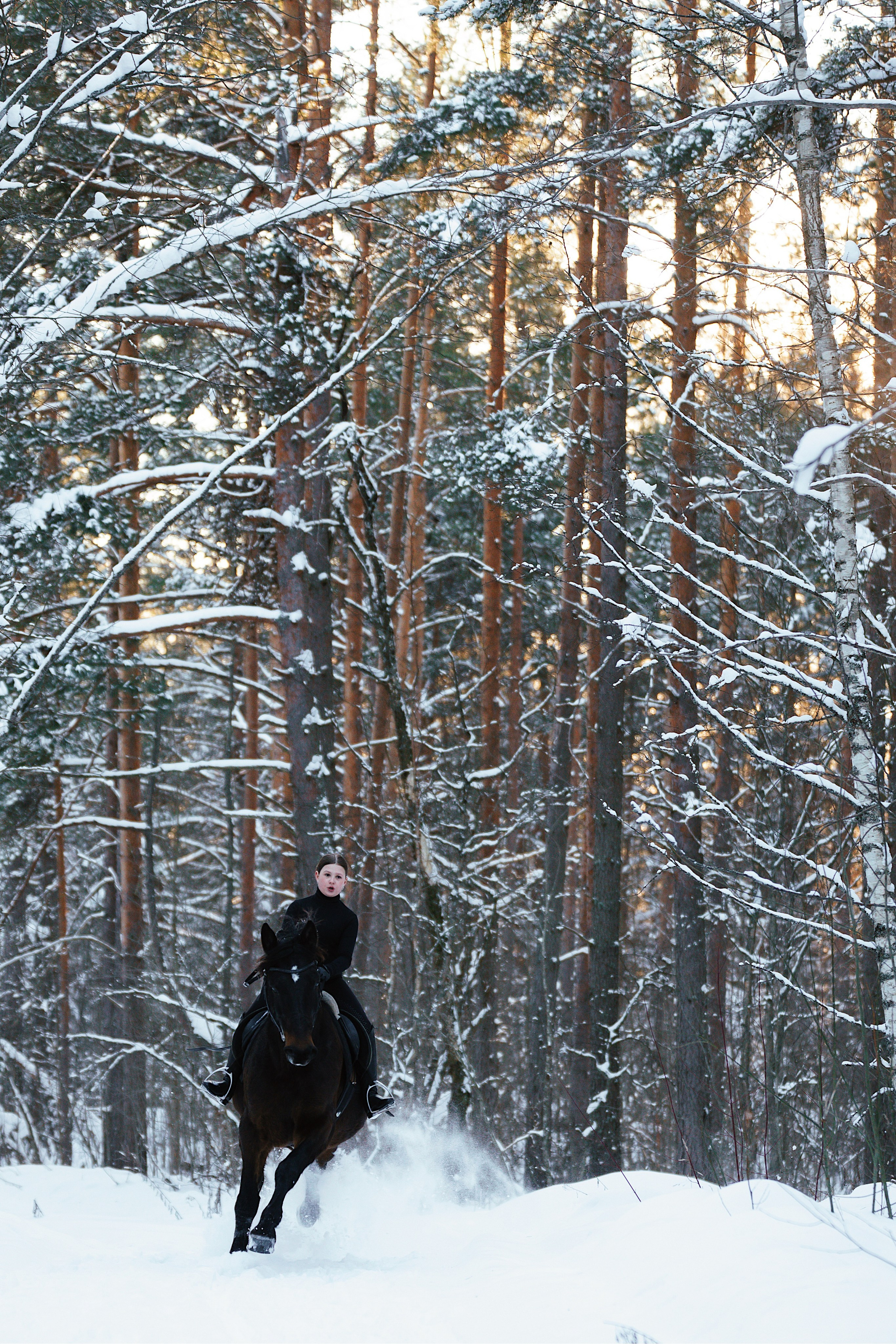 Конные. Фотограф Сибирика (Ирина Кузнецова), Санкт-Петербург и ЛО — портреты, свадьбы и семейные съемки. Творческий подход и качественные фото