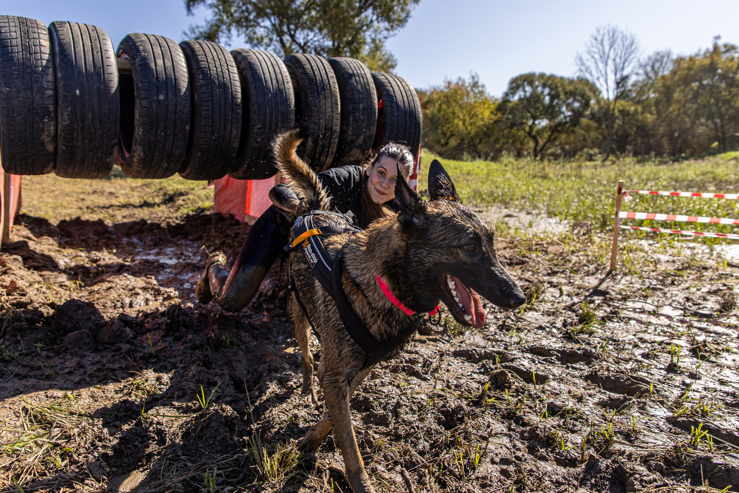 Dogtrail 2023. Уссурийск
