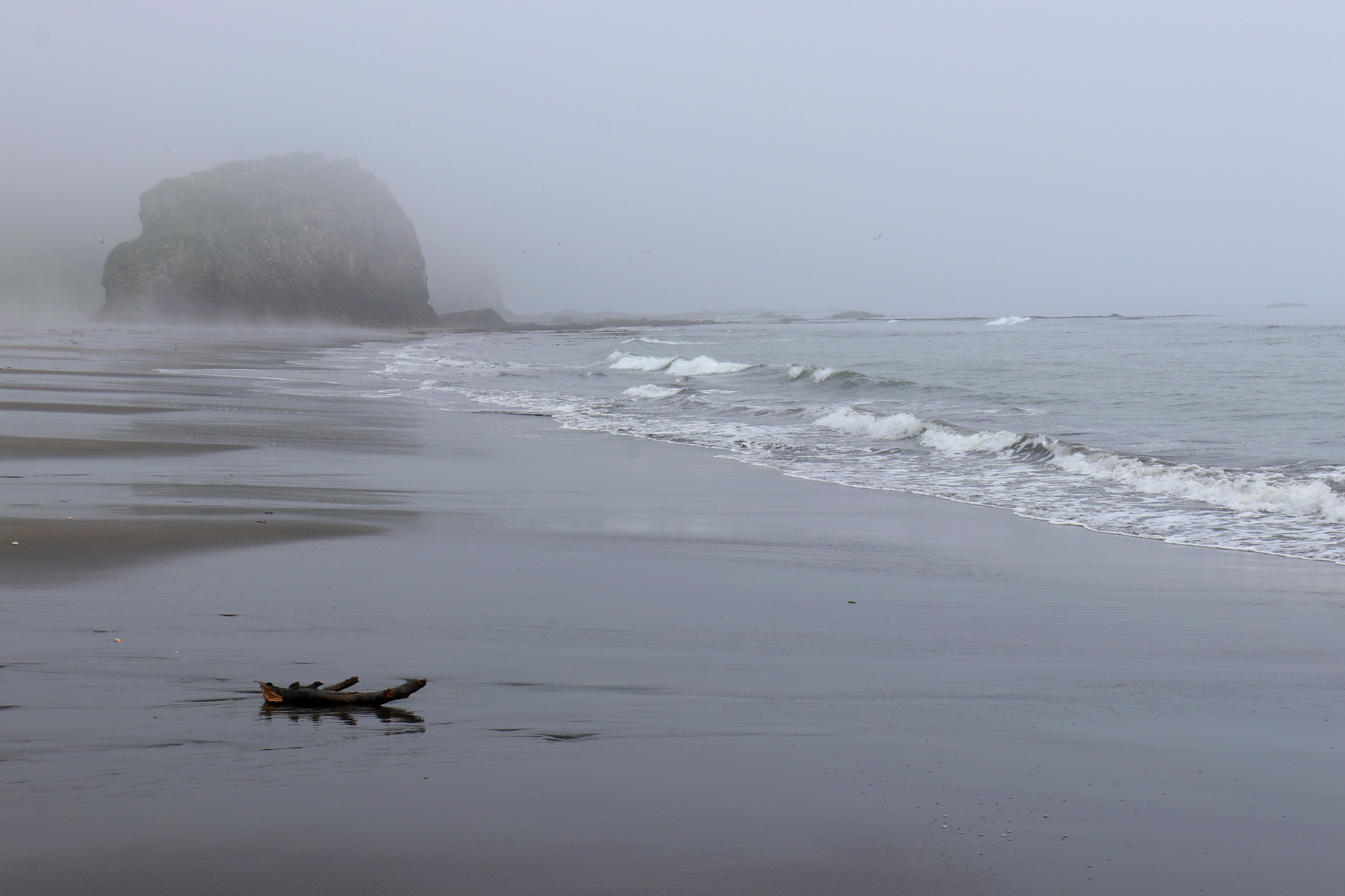 Камчатка и о. Парамушир. Июль 2024. Путешественник-фотограф из Санкт-Петербурга Татьяна Свистулина