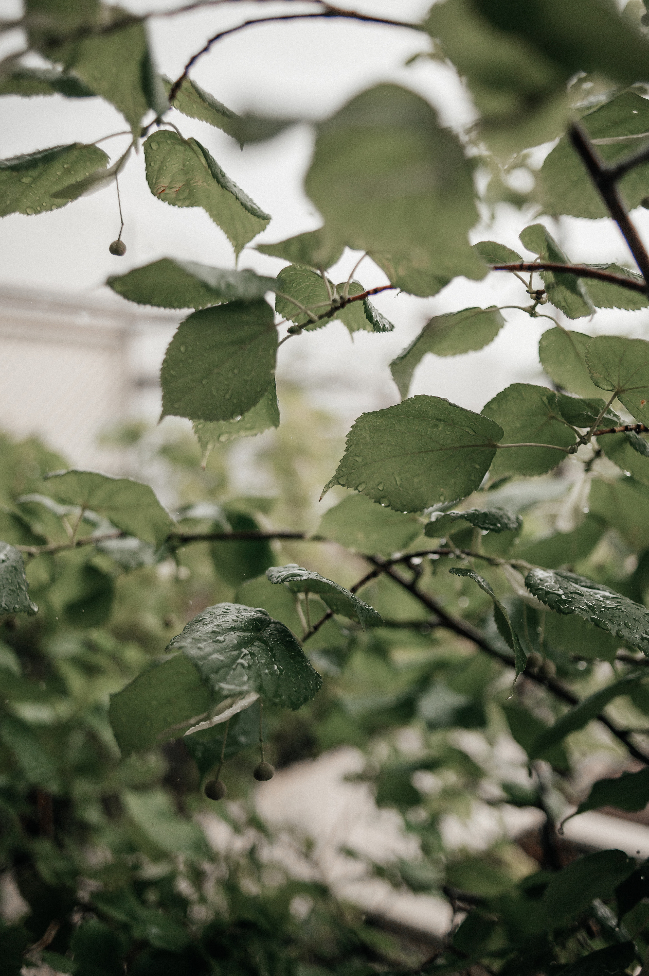 Один день. Свадебный и семейный фотограф в Краснодаре Листкова Галина