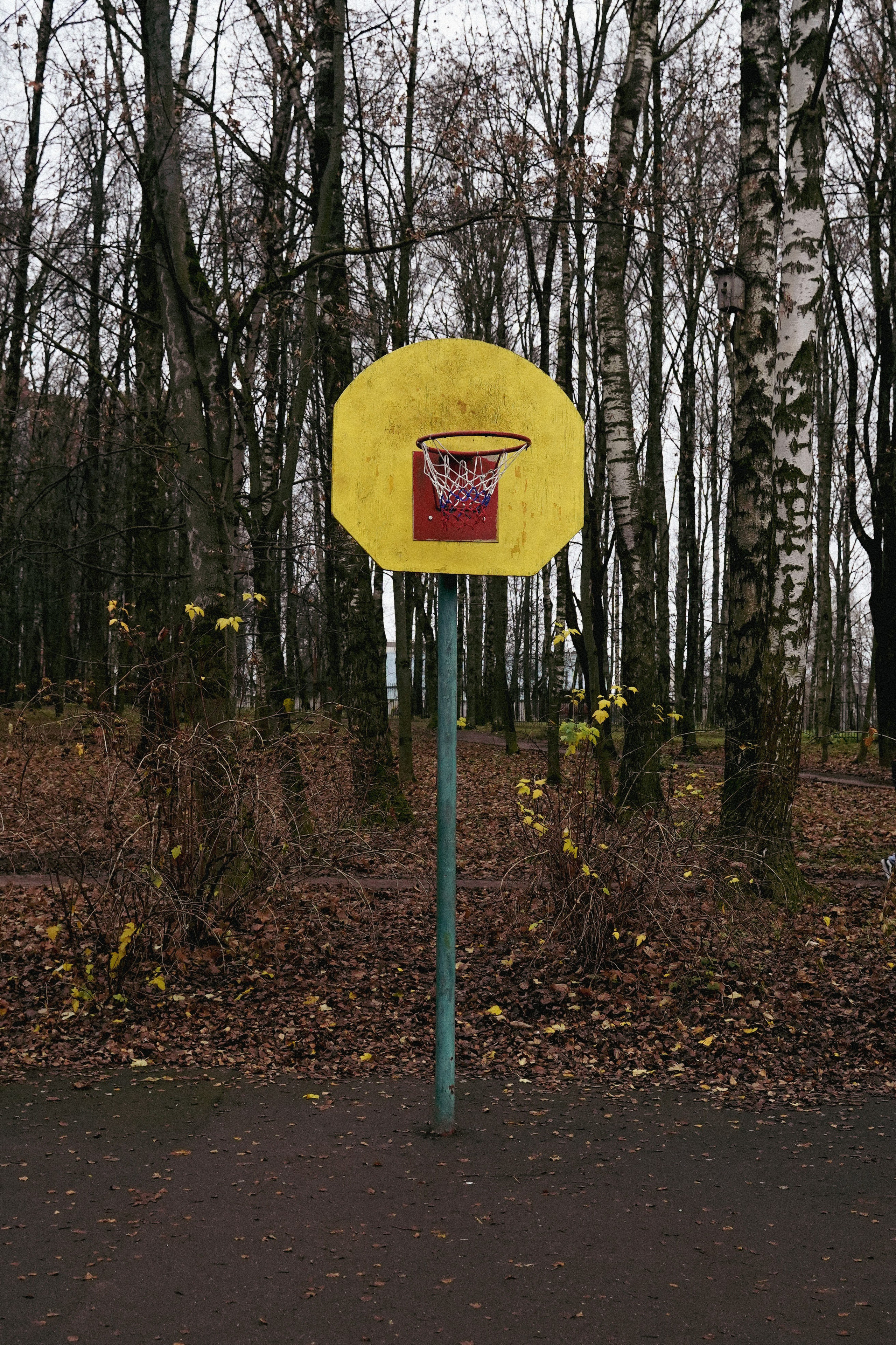 Уличная Съемка (3). Видео и Фото