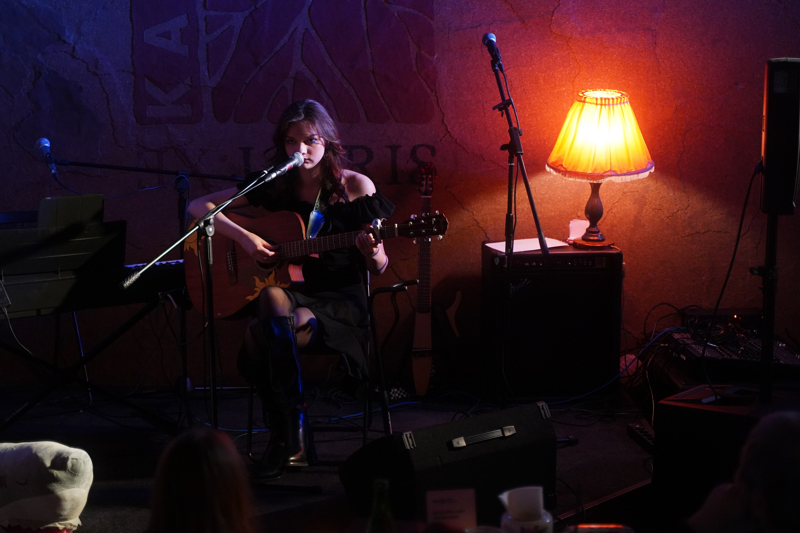 Концерт. Видео и Фото