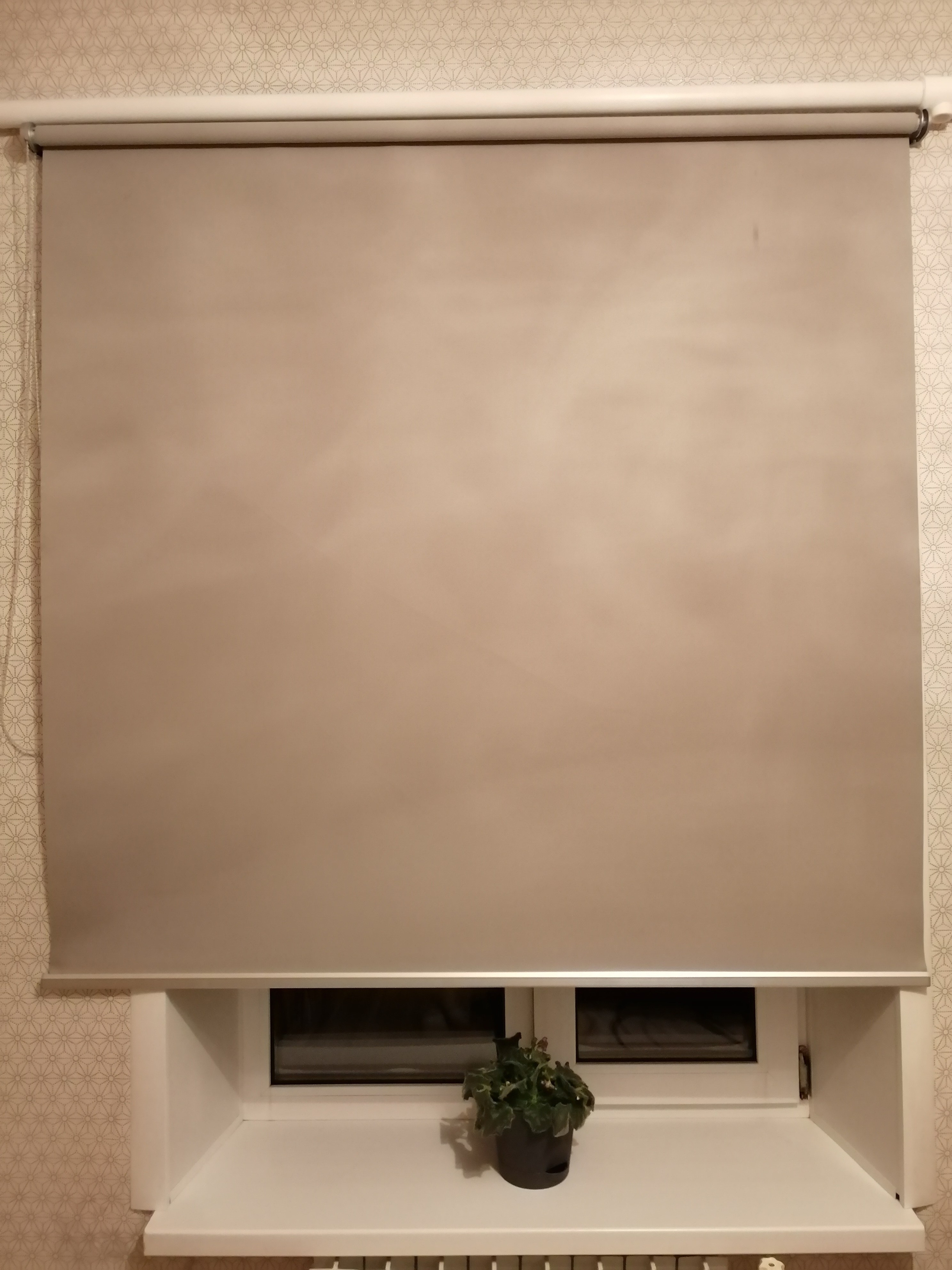 Отзывы. Портфолио