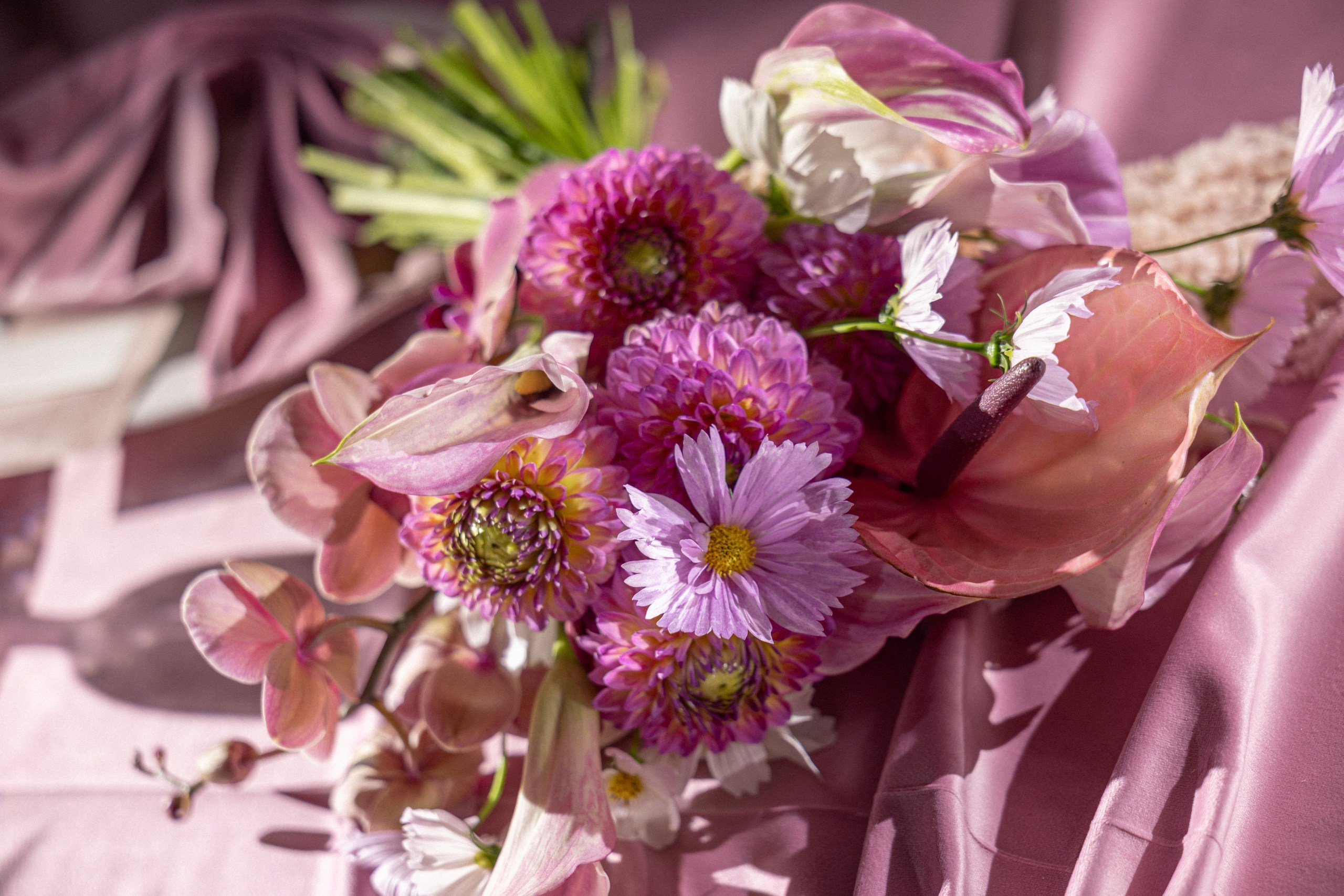 Г/М. Вебер Юлия фотограф Ростов-на-Дону