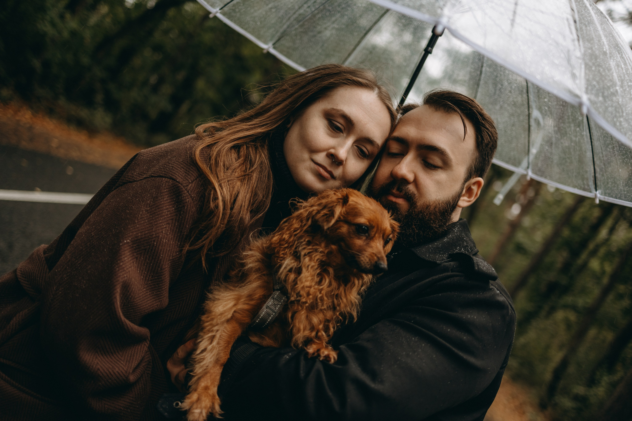 Жу и ее семья. Фотограф — Анималист | Санкт-Петербург