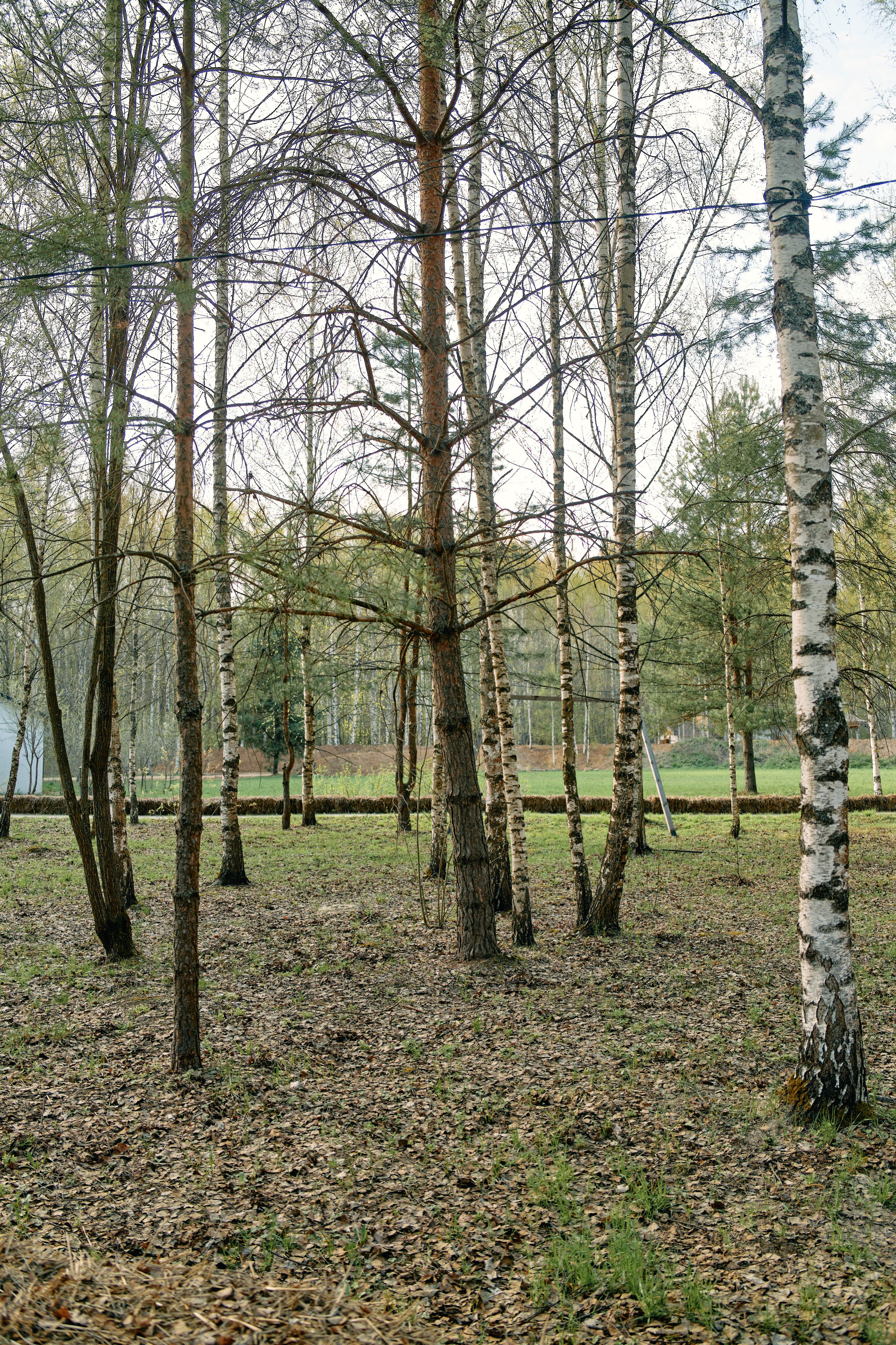 Бутик-отель Поле летом. Профессиональный Фотограф во Владимире, в Москве и в Суздале — Полина Романычева