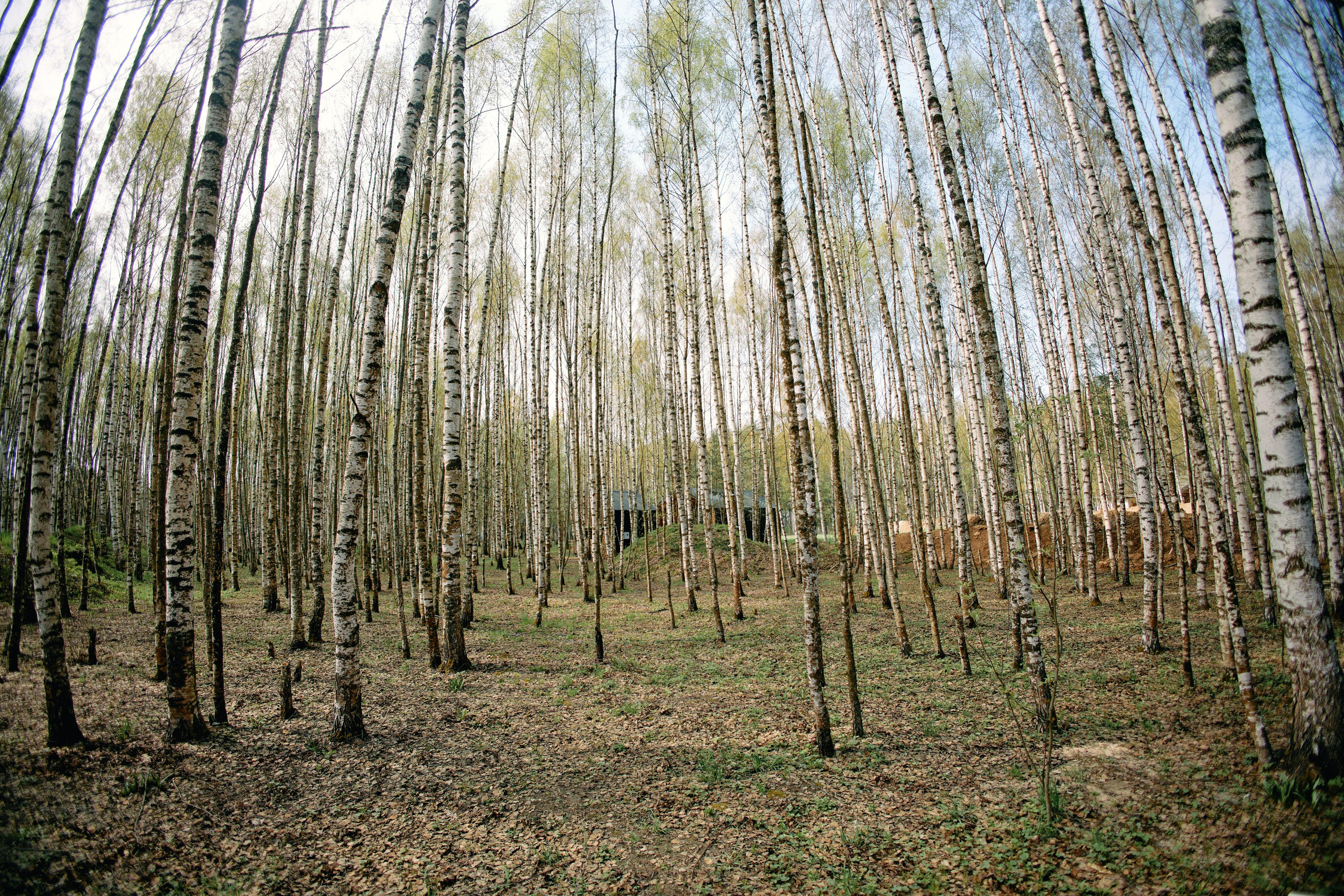Бутик-отель Поле летом. Профессиональный Фотограф во Владимире, в Москве и в Суздале — Полина Романычева