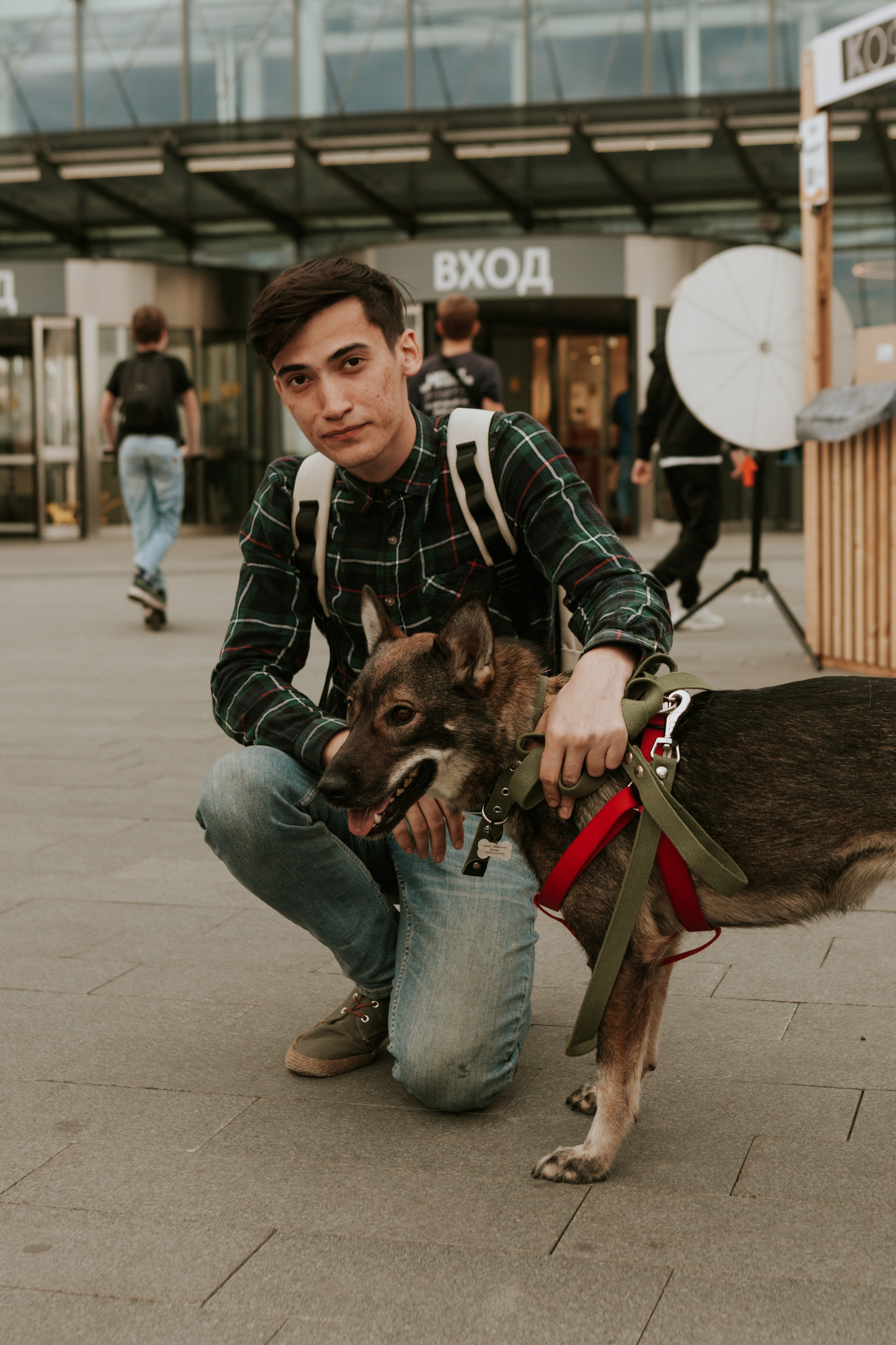 Собаки, которые любят 21.08.2022. Фотограф Николь Фолиянц