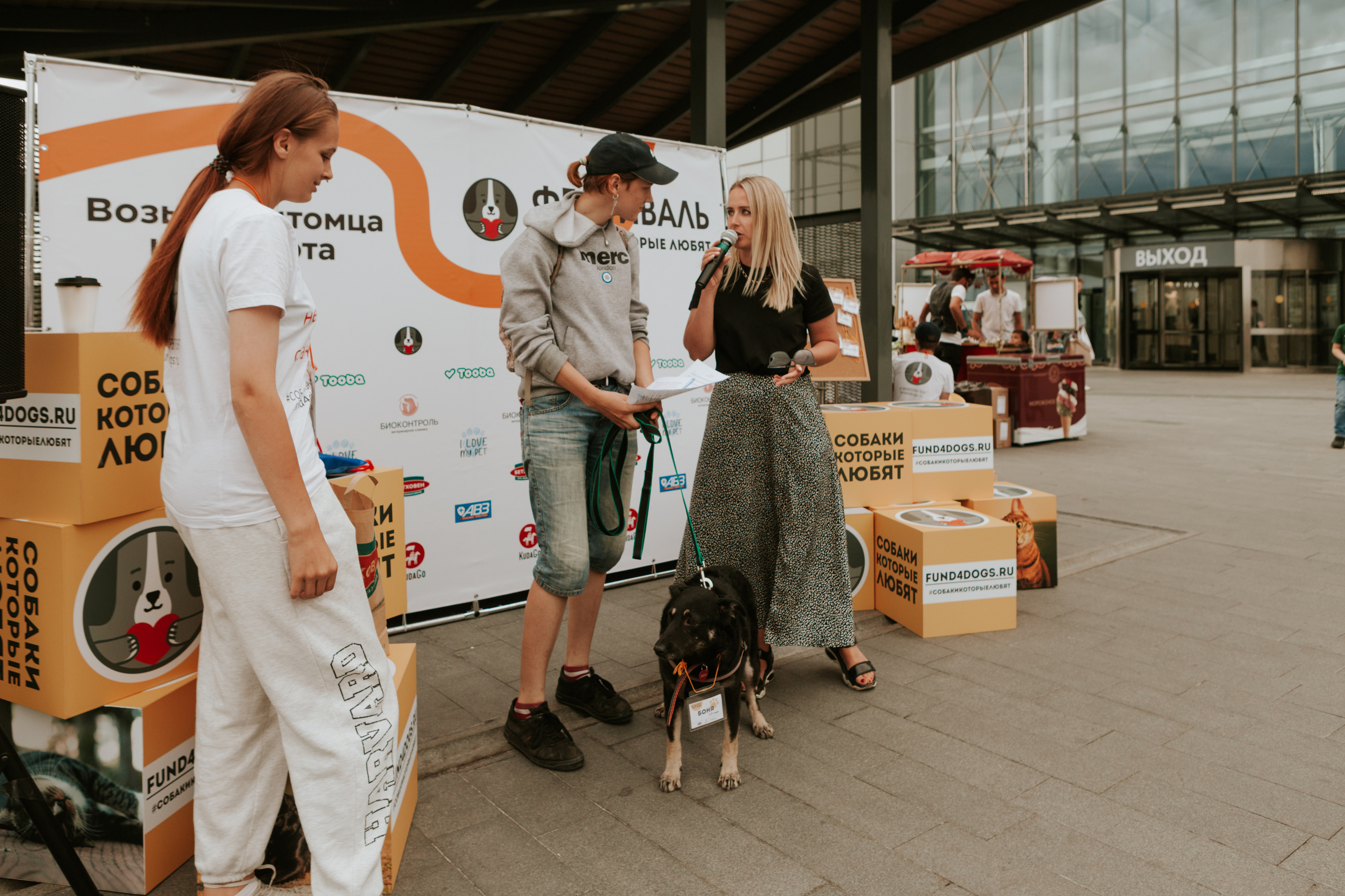 Собаки, которые любят 21.08.2022. Фотограф Николь Фолиянц