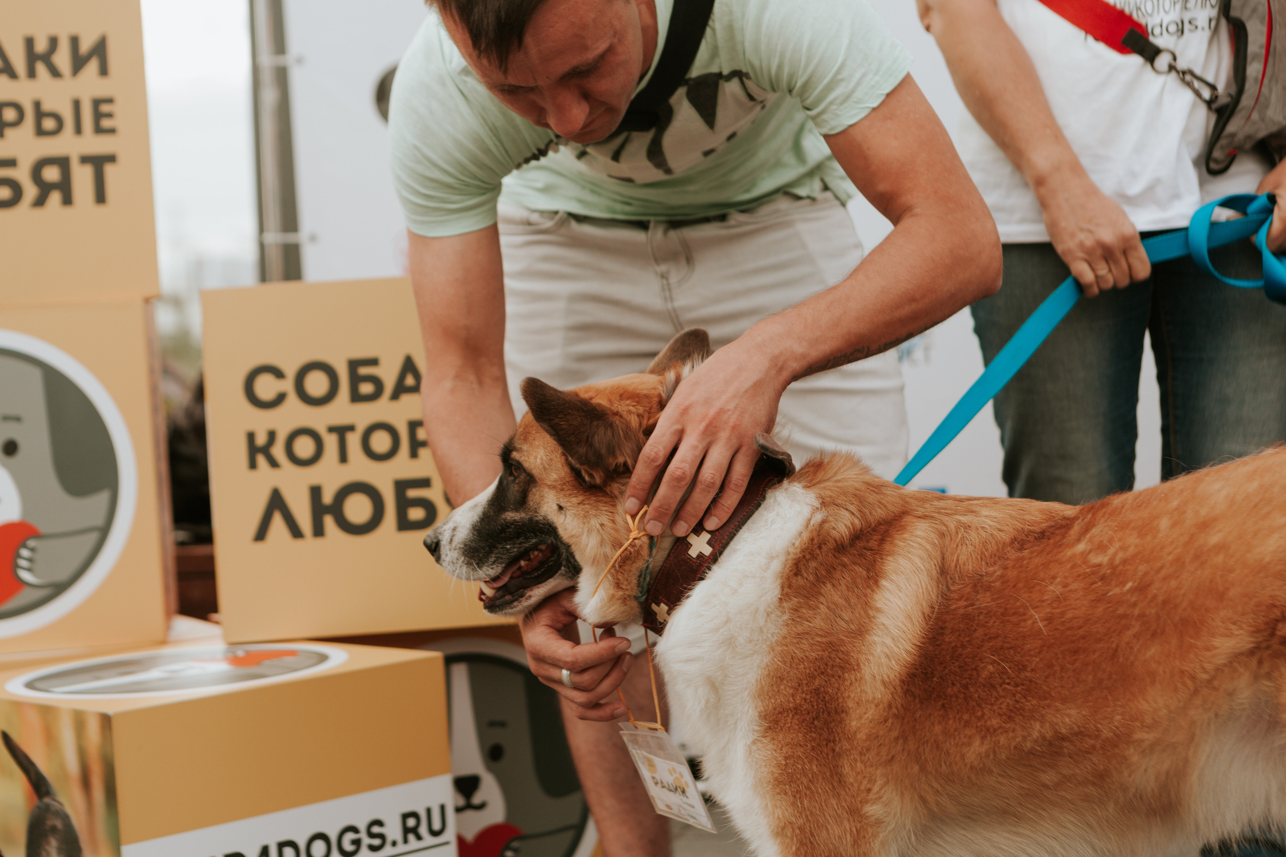 Собаки, которые любят 21.08.2022. Фотограф Николь Фолиянц