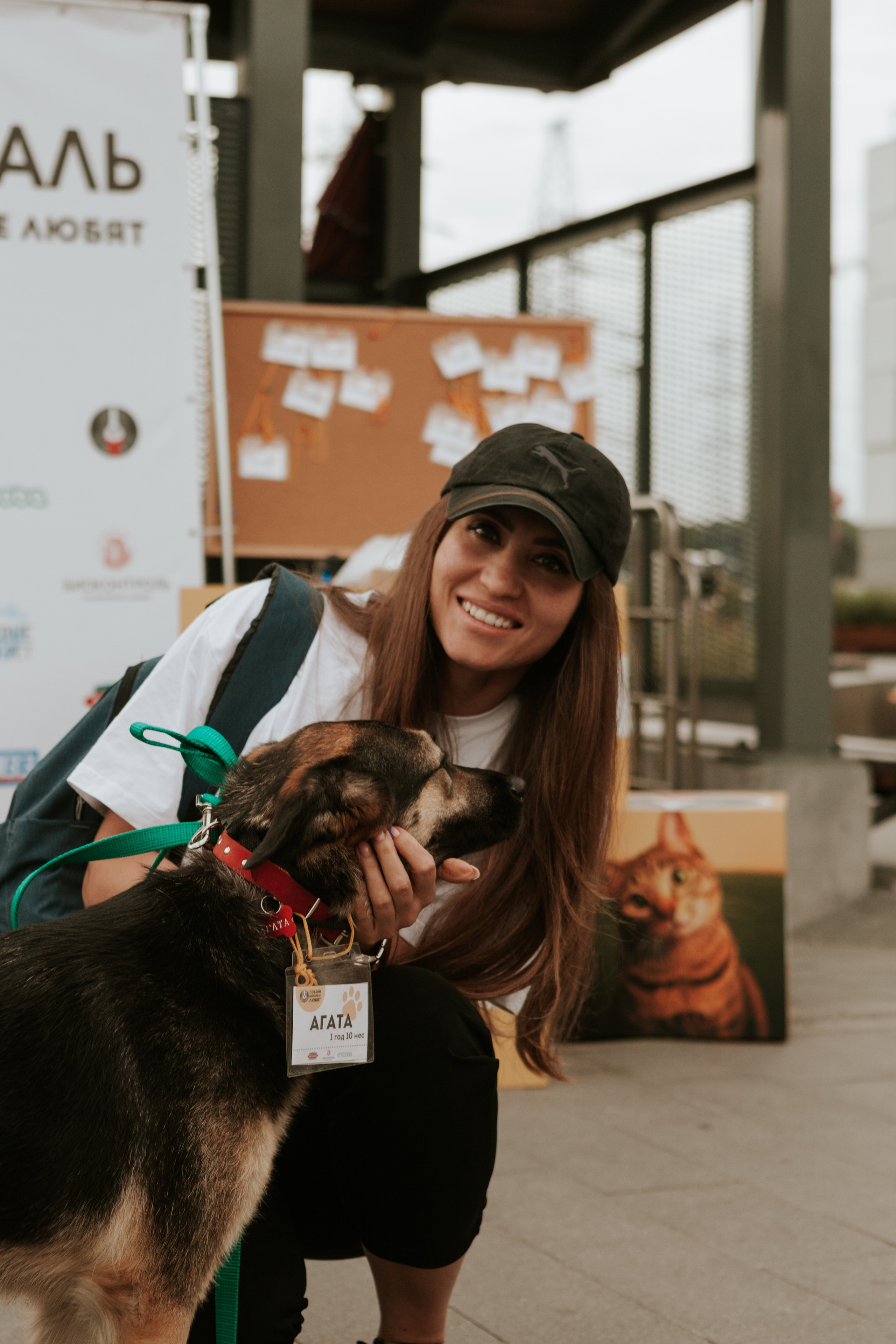 Собаки, которые любят 21.08.2022. Фотограф Николь Фолиянц