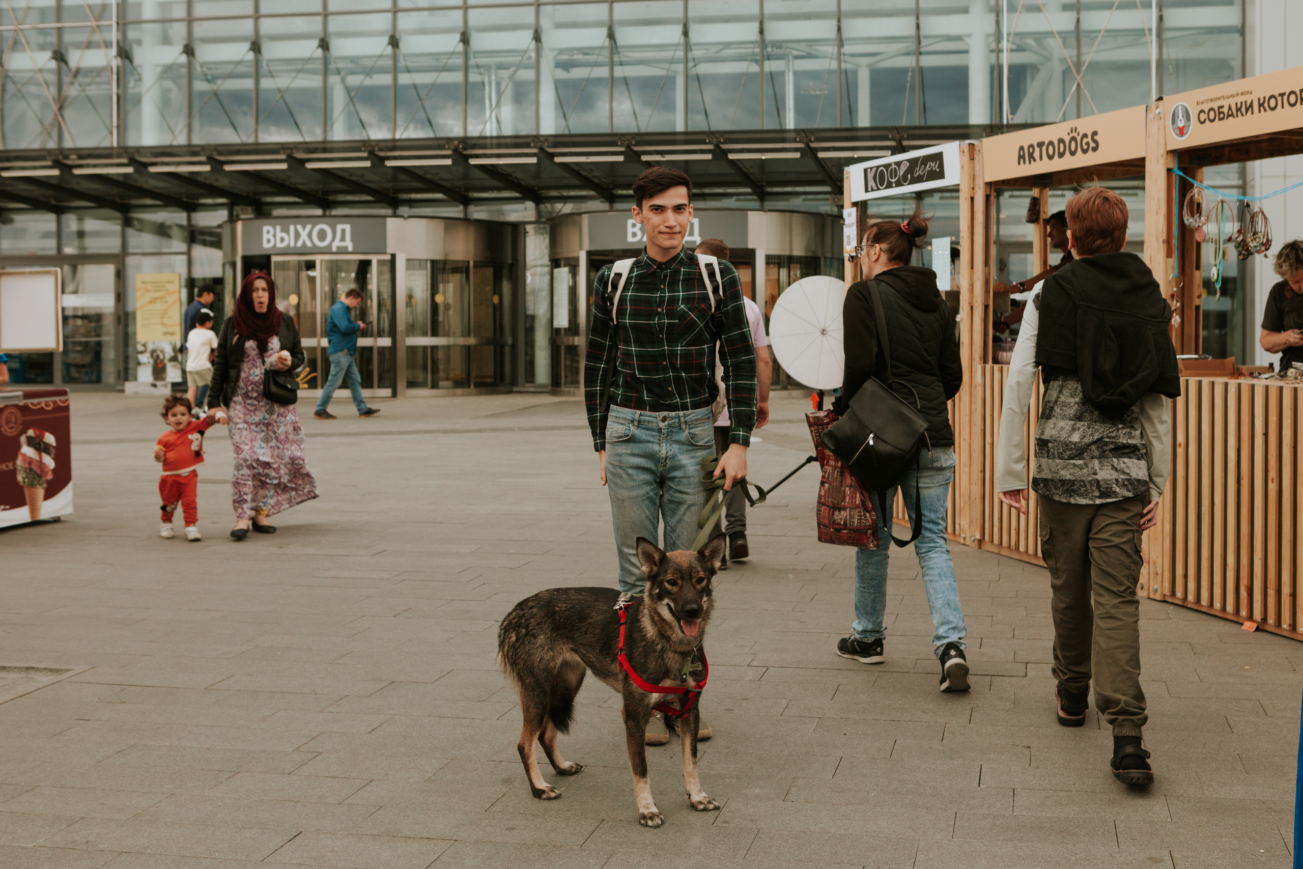 Собаки, которые любят 21.08.2022. Фотограф Николь Фолиянц