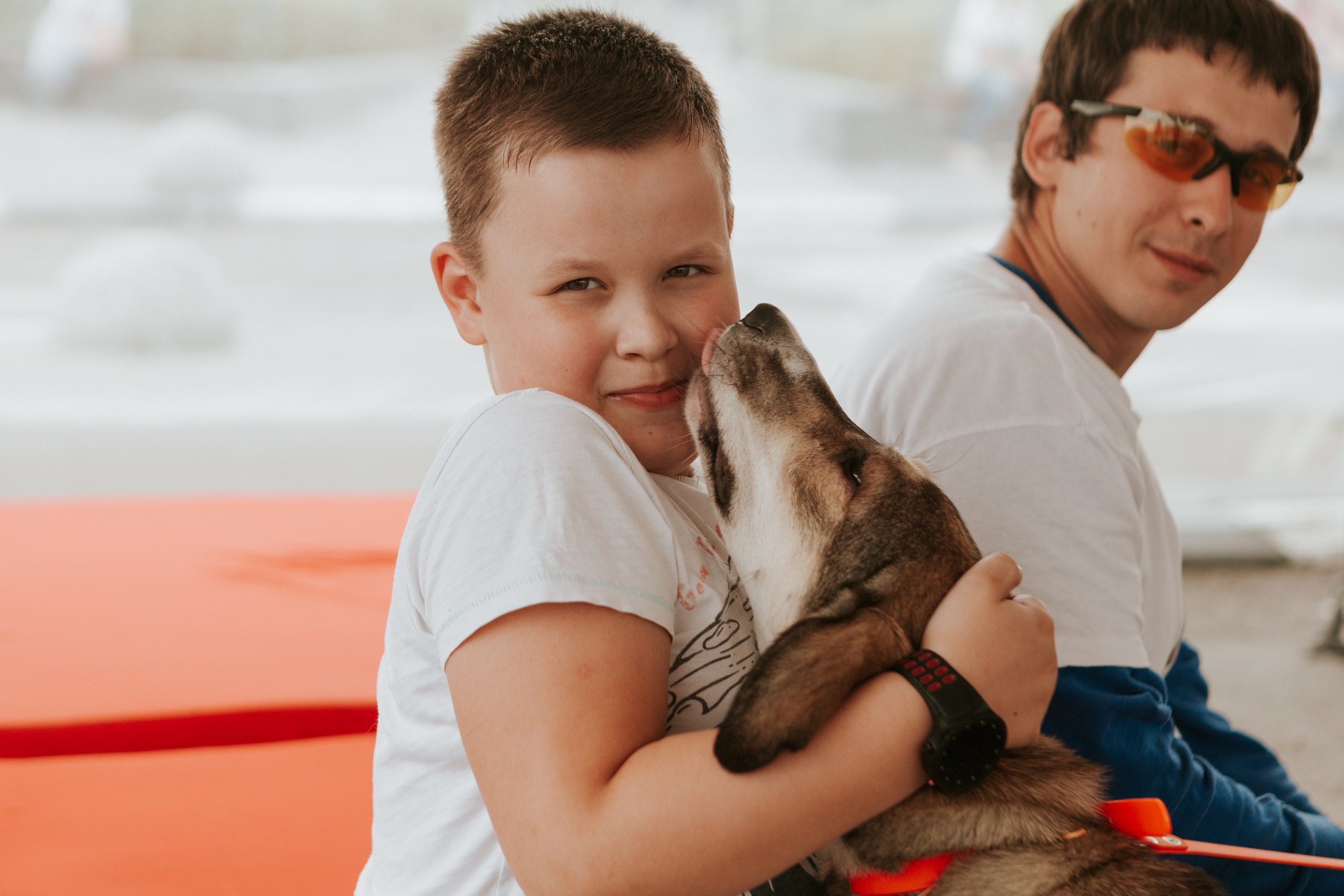 Собаки, которые любят 21.08.2022. Фотограф Николь Фолиянц