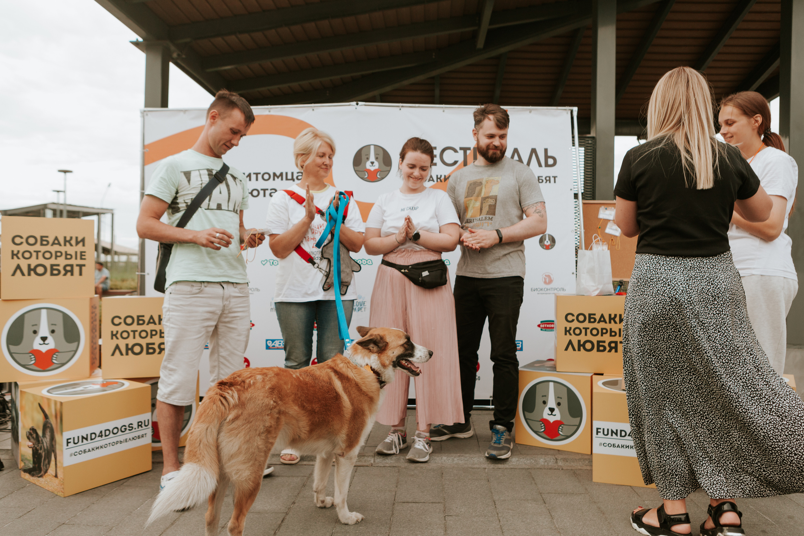 Собаки, которые любят 21.08.2022. Фотограф Николь Фолиянц