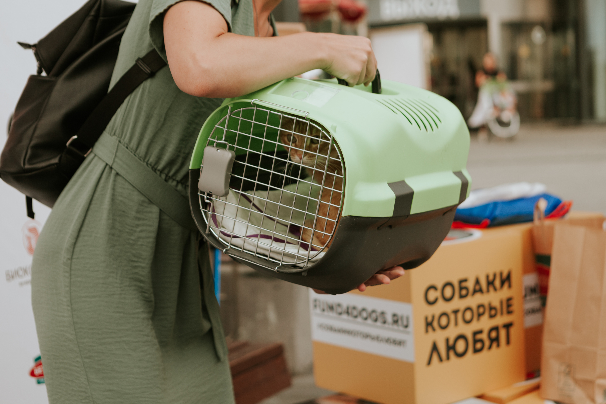 Собаки, которые любят 21.08.2022. Фотограф Николь Фолиянц