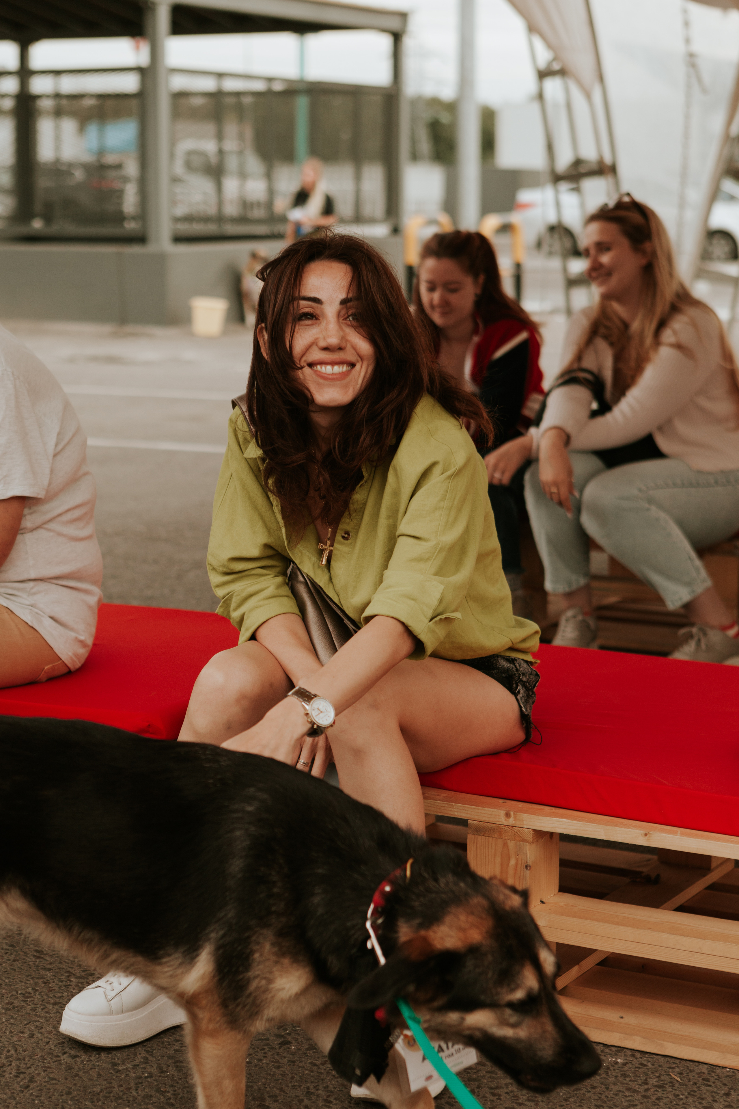 Собаки, которые любят 21.08.2022. Фотограф Николь Фолиянц