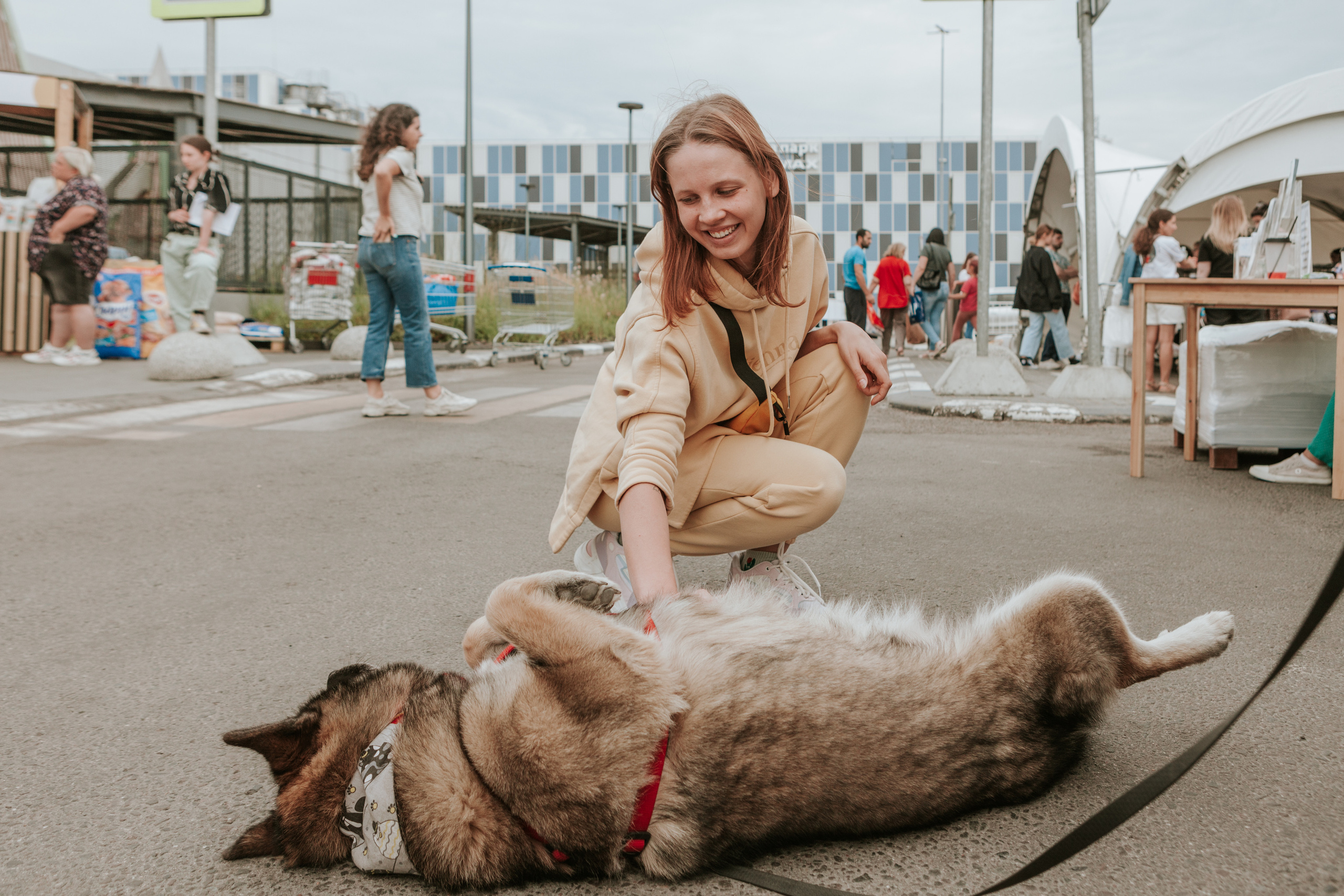 Собаки, которые любят 21.08.2022. Фотограф Николь Фолиянц