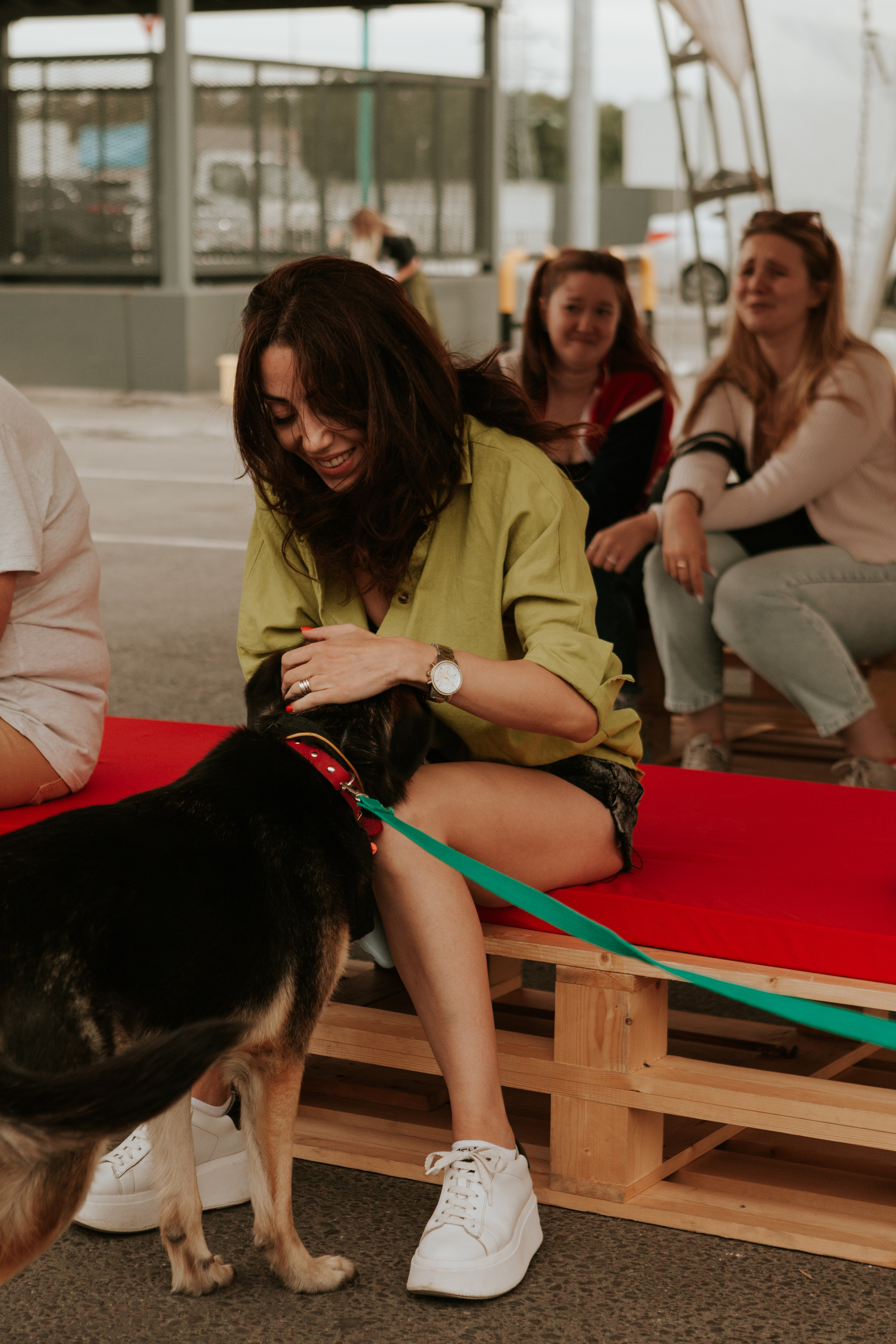 Собаки, которые любят 21.08.2022. Фотограф Николь Фолиянц