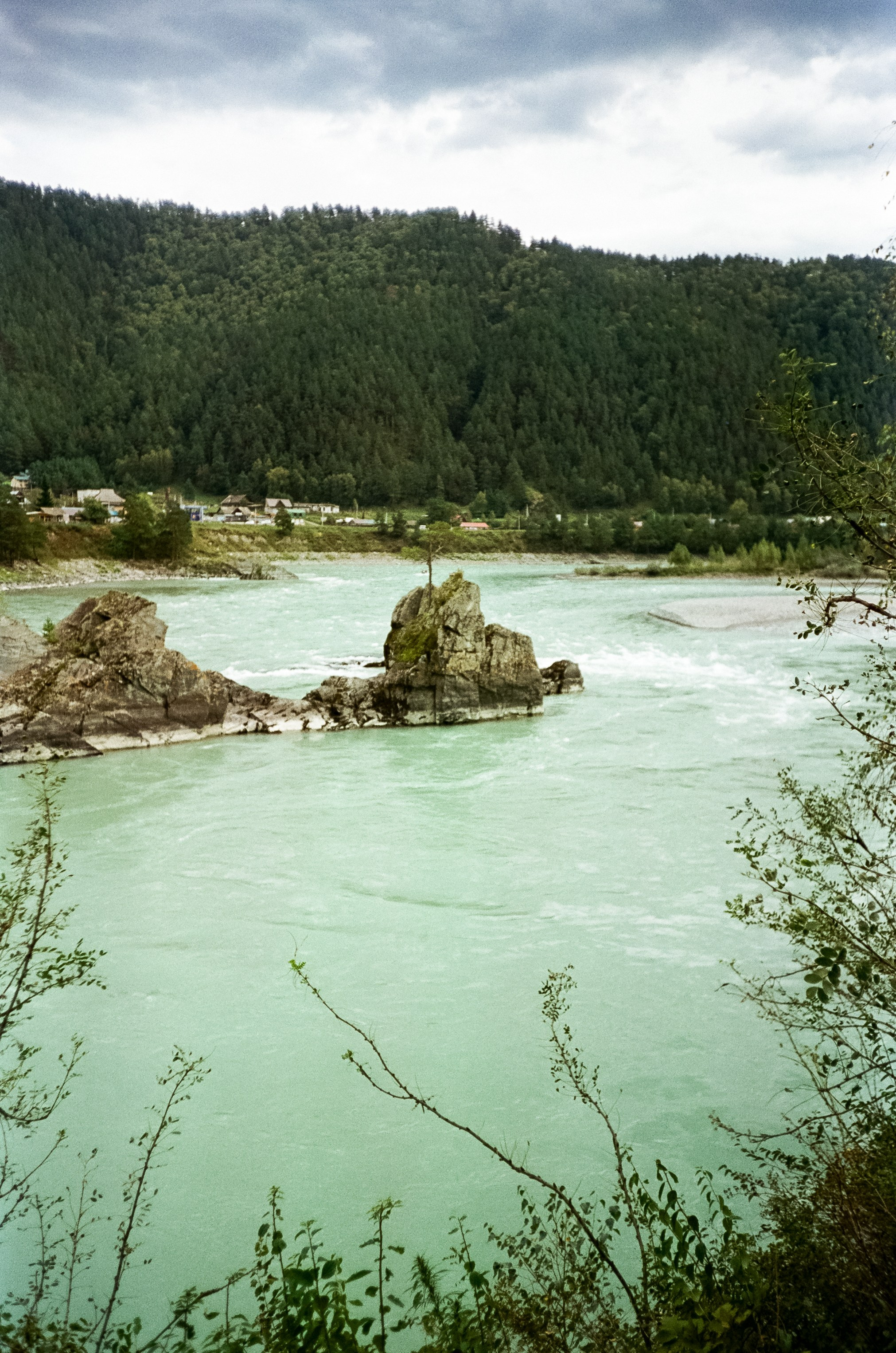 Зубы Дракона и солнечный подарок. Сад пионов. Фотограф-документалист Мария Осокина