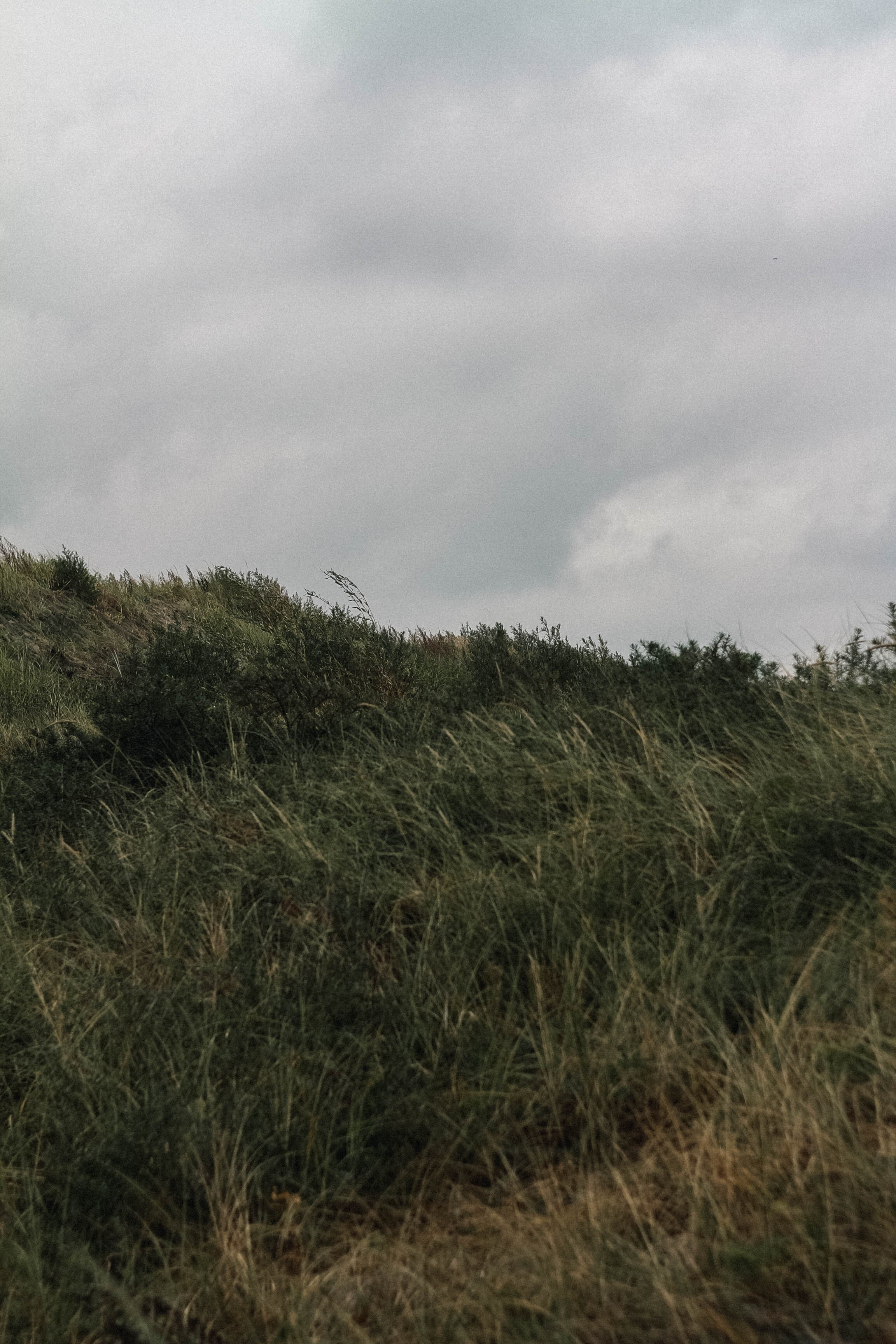 Калининград