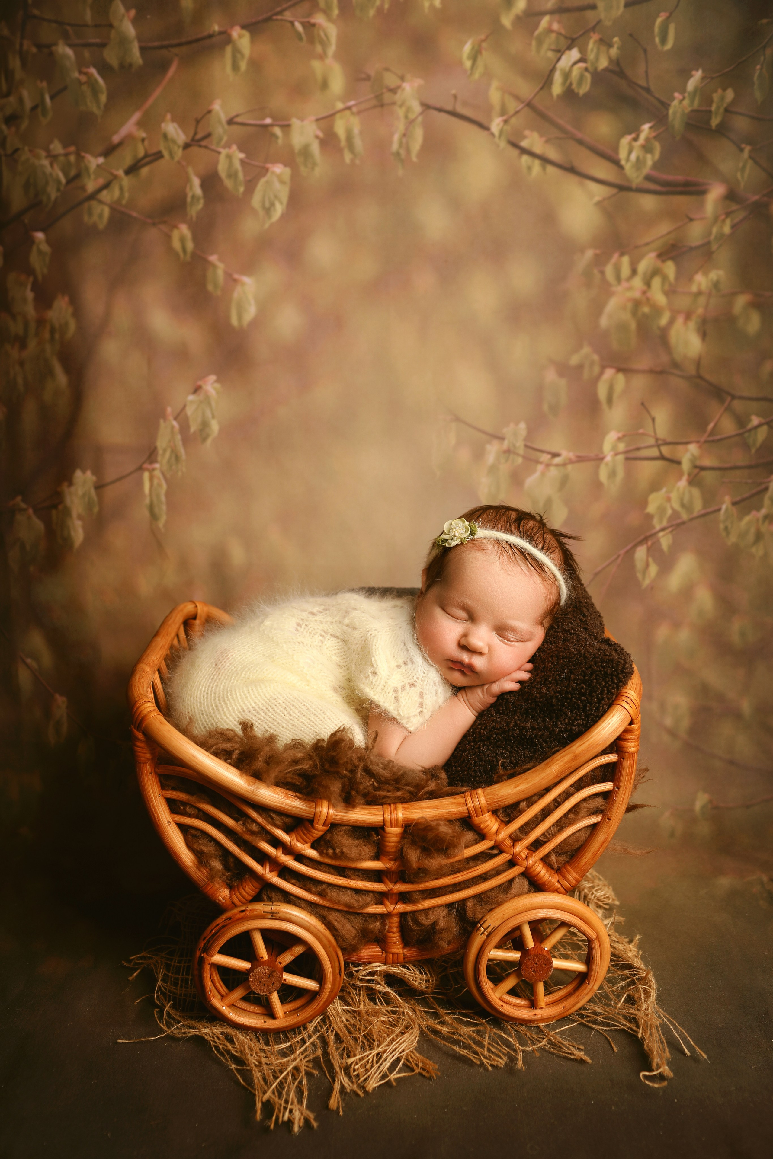 фотосессии новорожденных великий новгород