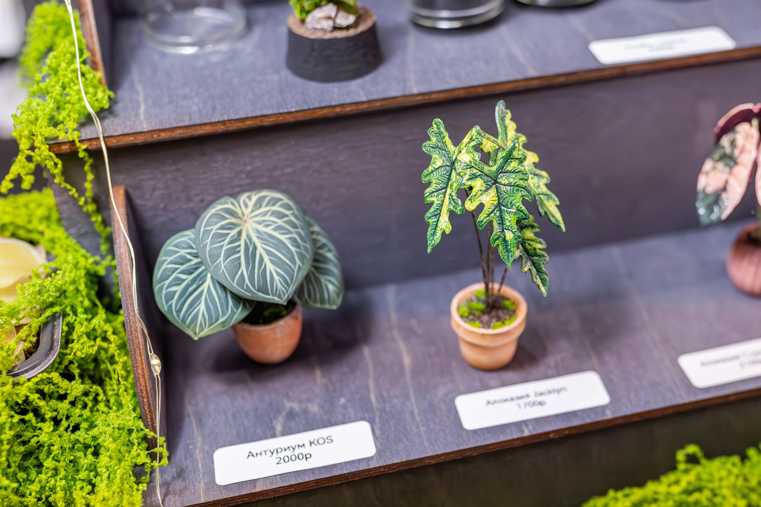 Монстериум апрель 2026. Александра Куликова фотограф, Москва