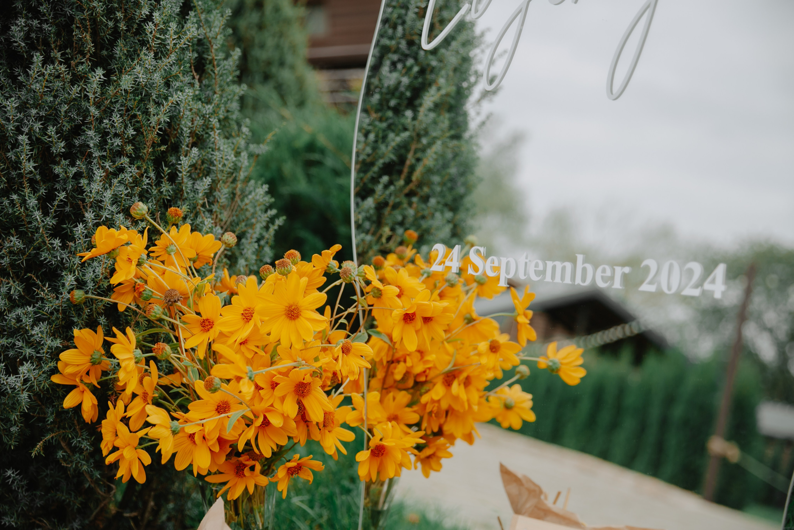 Wedding V&E 24.09.24. Свадебный и семейный фотограф в Новопавловске и КМВ Баканова Юлия