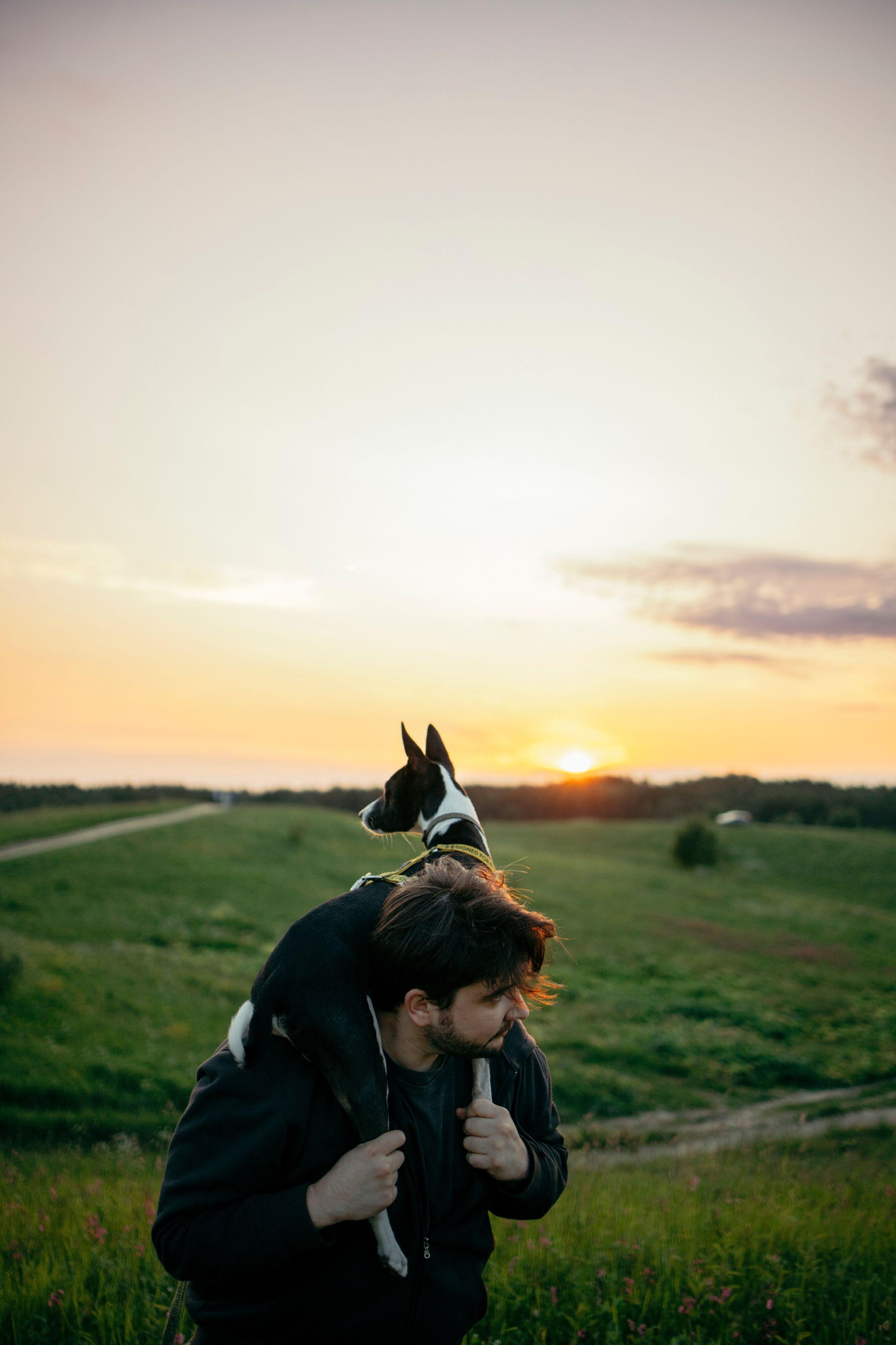 Итачи и его семья 🐾. Фотограф-анималист в Санкт-Петеребурге Титова Алиса