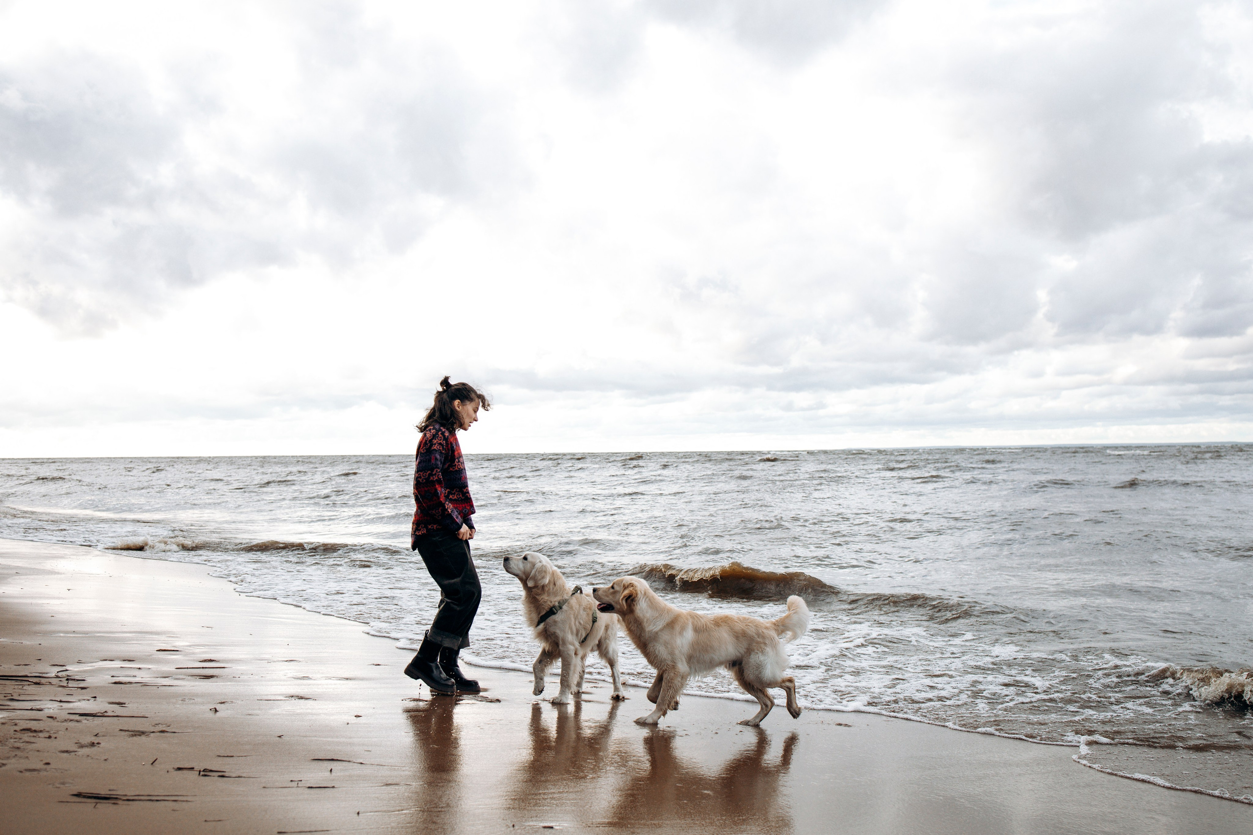 Прогулка Насти с Арчи и Арагоном. Фотограф-анималист в Санкт-Петеребурге Титова Алиса