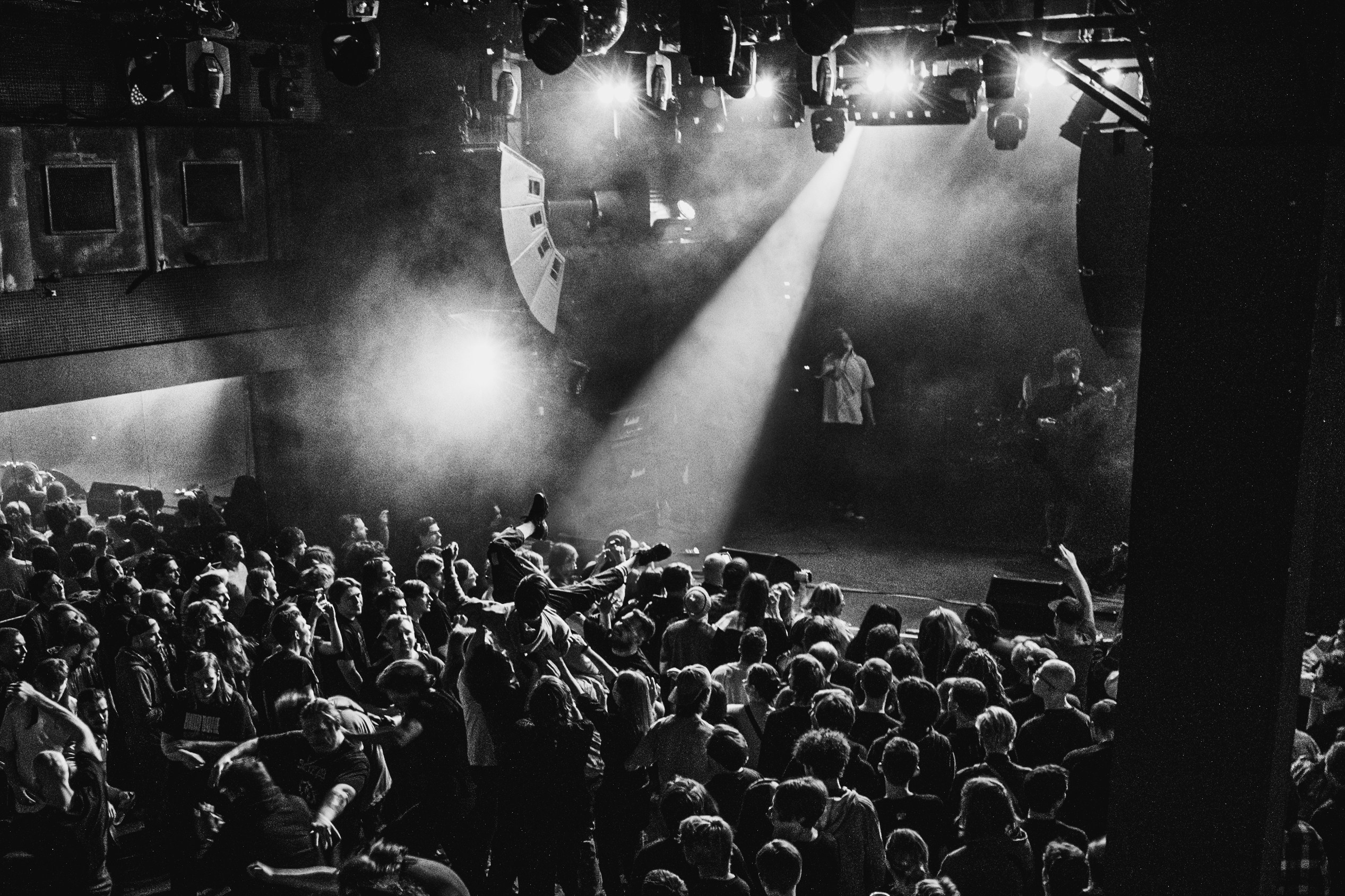 НДвТБ, Bird Bone 20.03.2026. Репортажный фотограф в Москве Legiodot