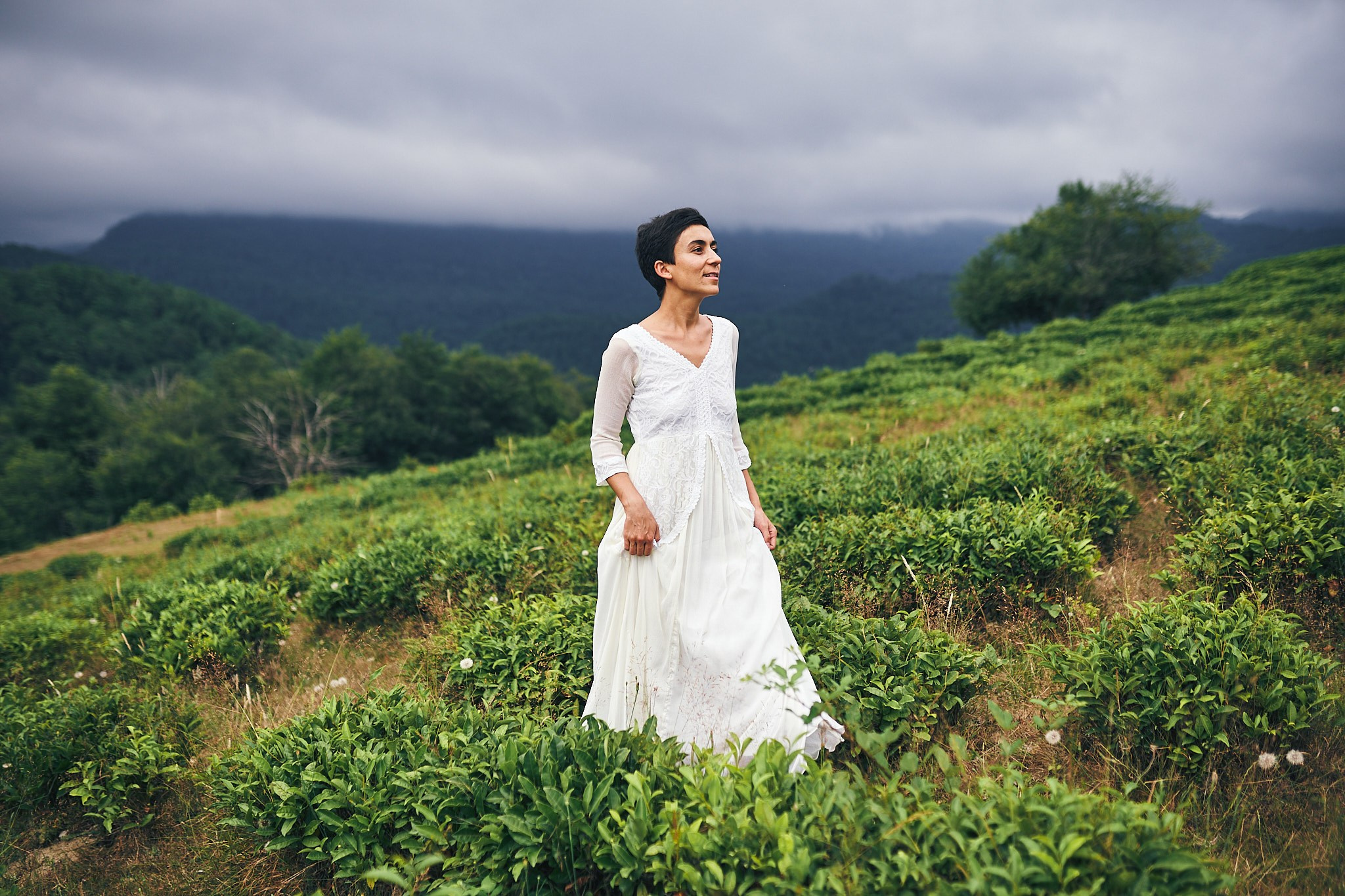 Чайные плантации. Фотограф в Сочи Катя Гончарова