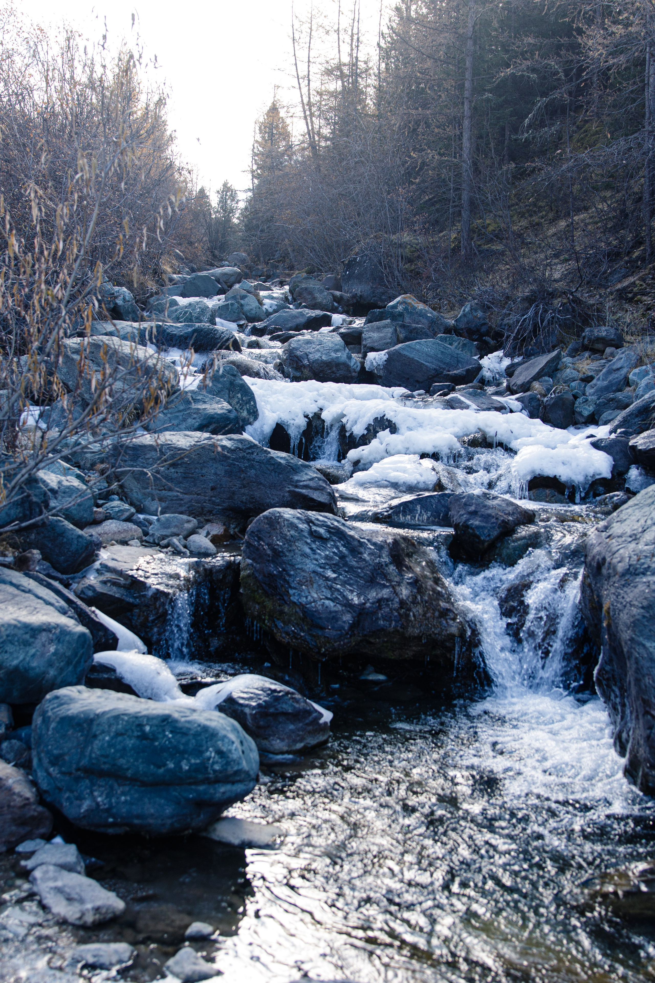 Мой Алтай. Фотограф Кирилл Мешков Кемерово