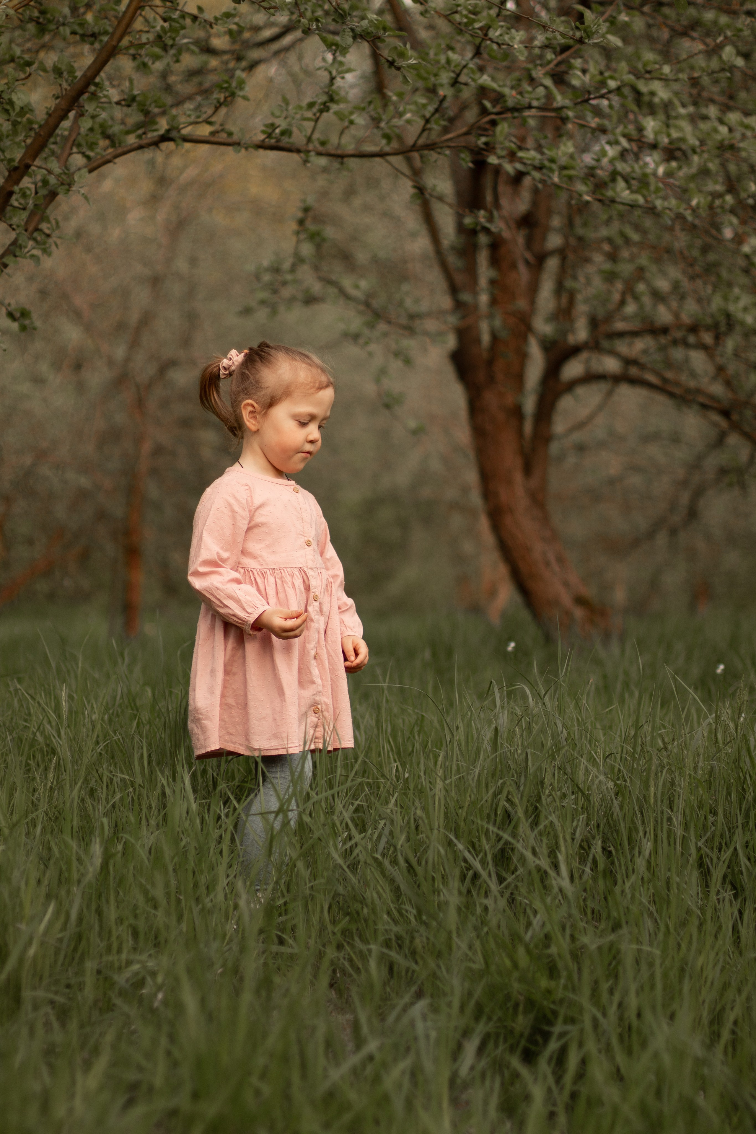 Фотография девочки пяти лет в лесу весной