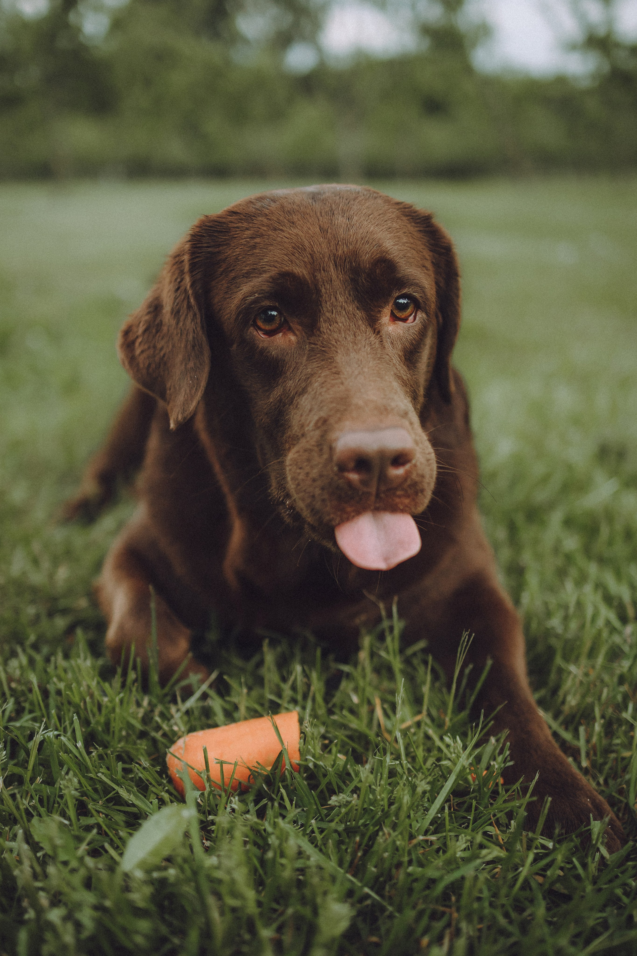 Катя, Ваня и Джеси