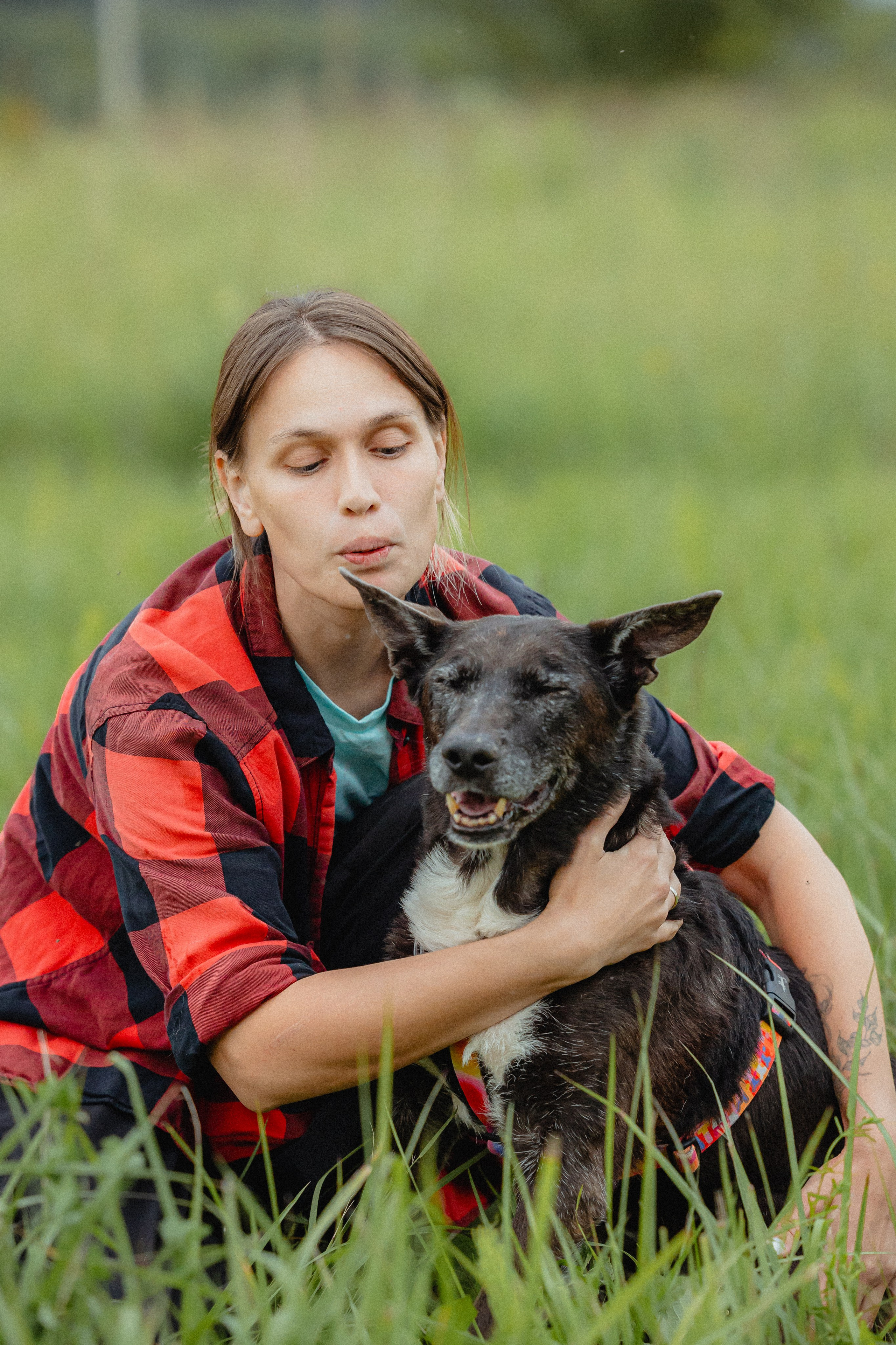 Выездной дог-тренинг от школы «Шерсть имею»