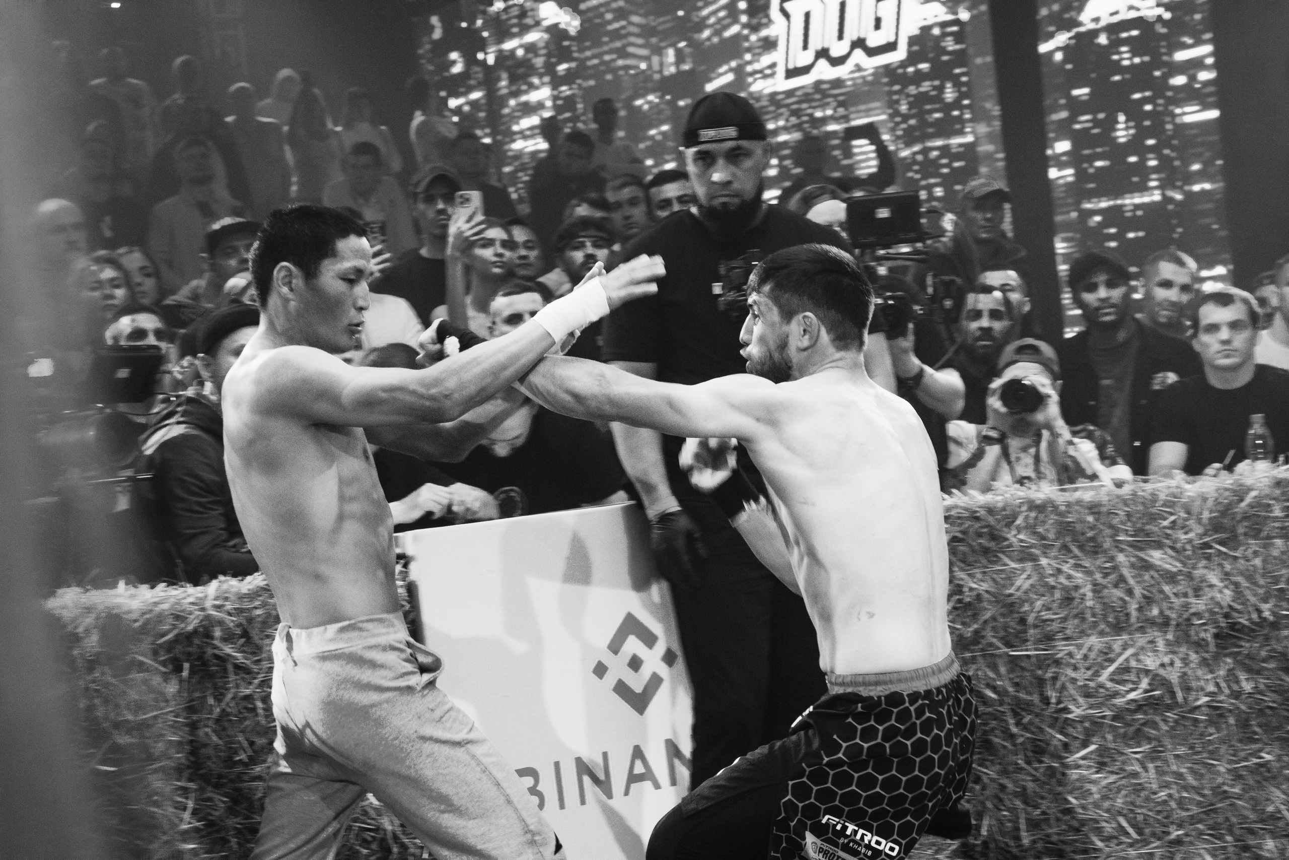 Кулачные бои TopDog. Анастасия Тен